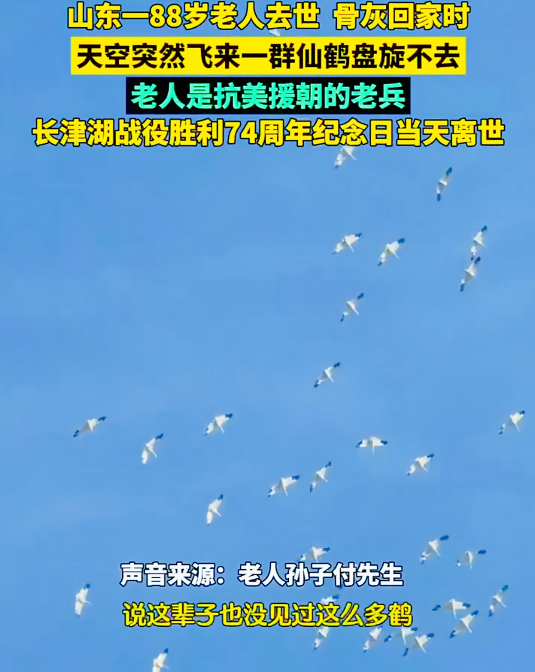 老兵不死。只是凋零,老兵不死只是凋零什么意思
