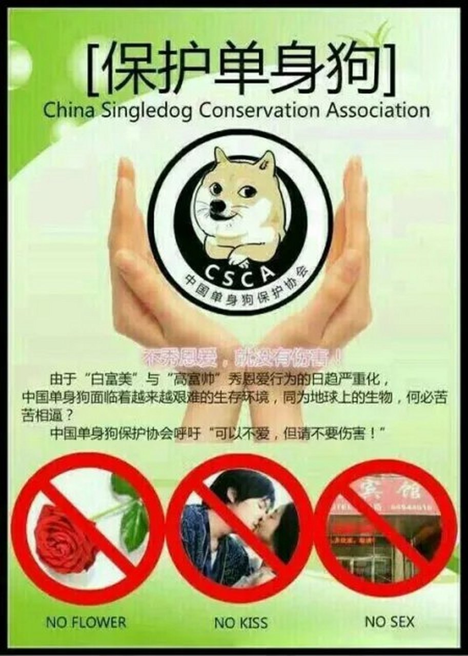 我是单身狗保护协会的人