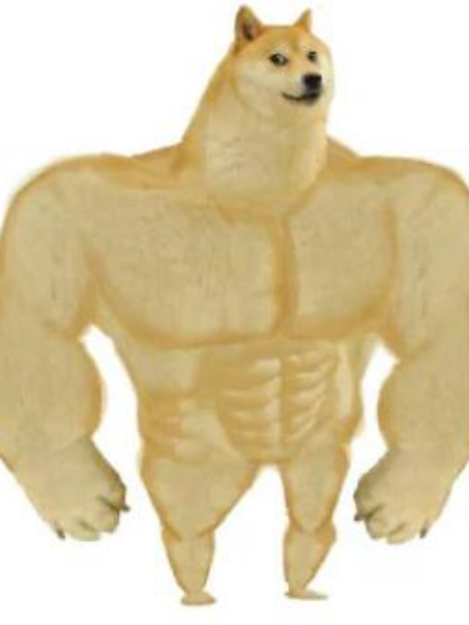 网红柴犬cheems(真名·balltze)去世了,其主人发文