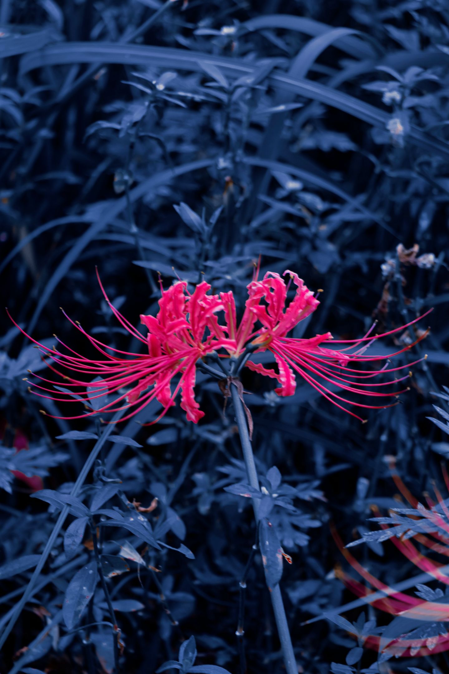 在古老的仙界传说中,有三生石,它