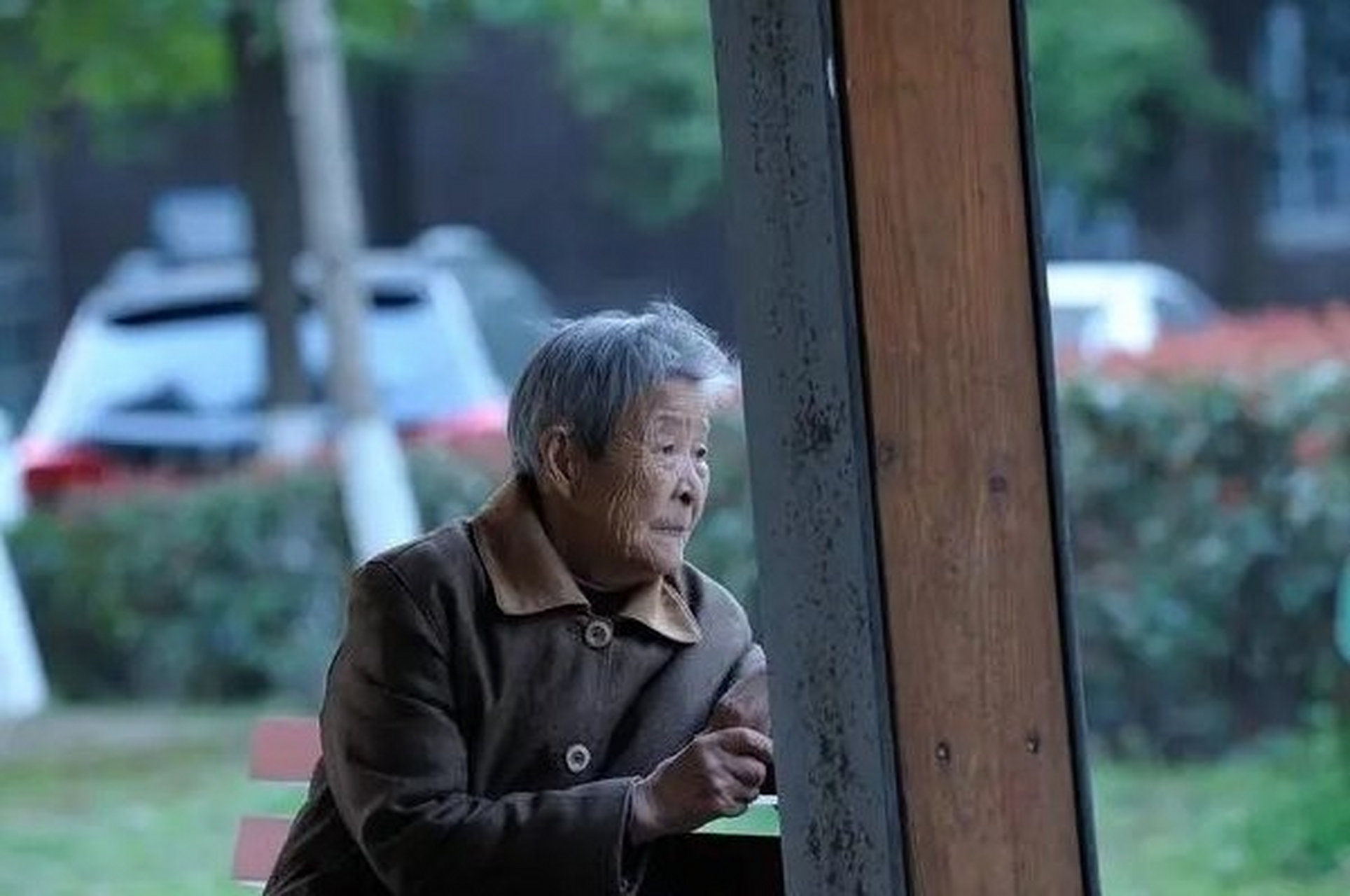 了老伴的老人,到了晚年,如果没有爱好,再没有信仰,生活得很孤独很可怜