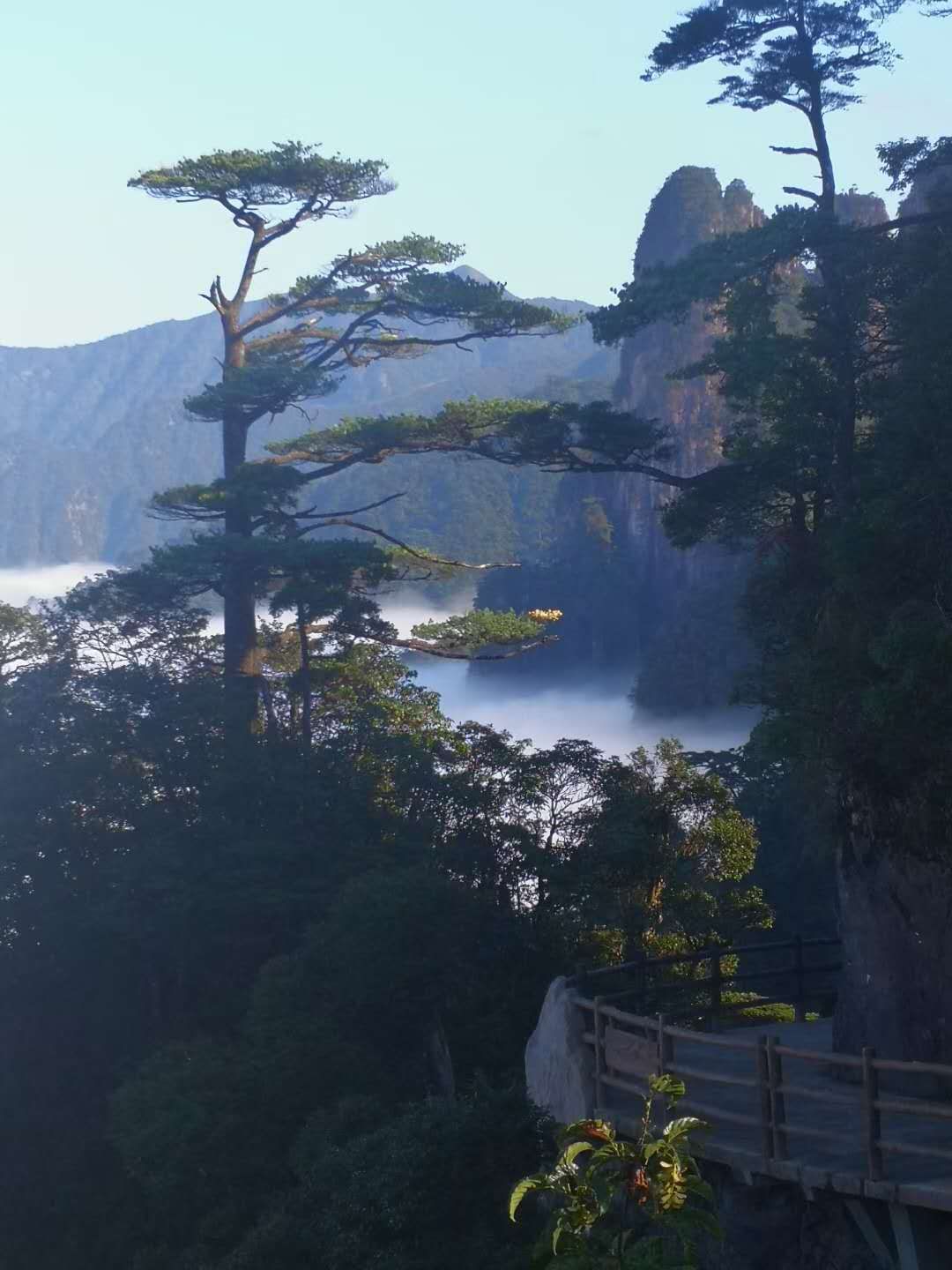 莽山天台山图片