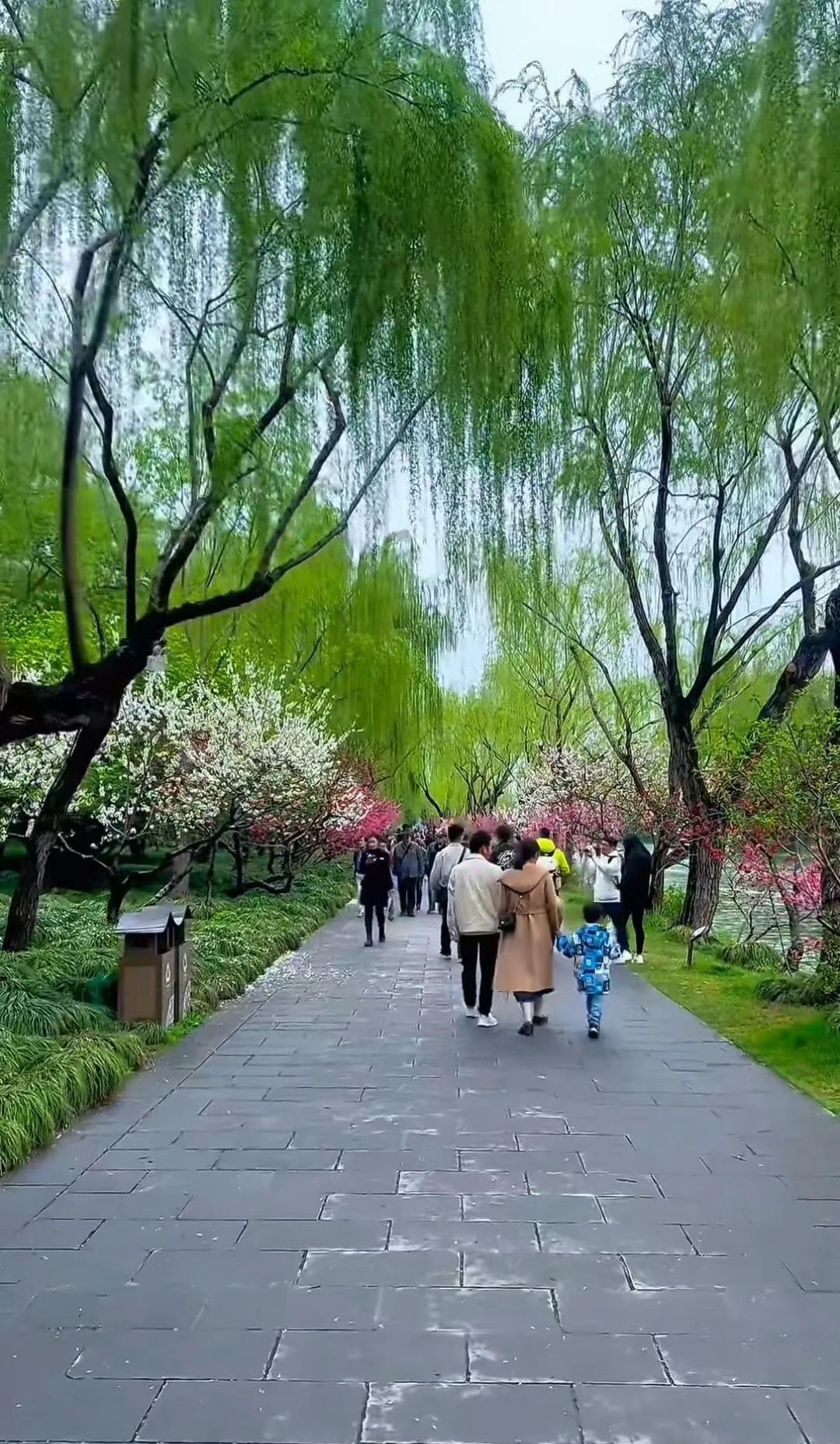 碧波荡漾映晴天, 苏堤春晓柳如烟. 断桥残雪情未了, 白塔如云立湖边
