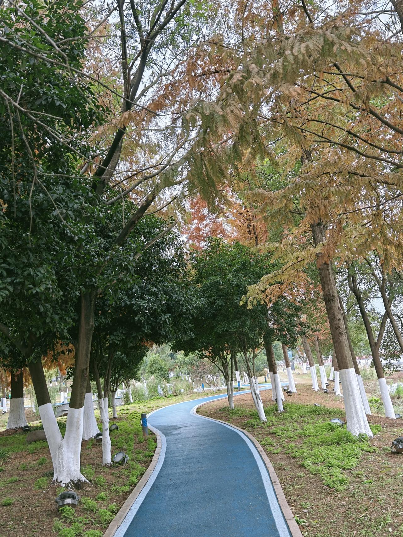 江西风景独好:上饶市鄱阳县(二)