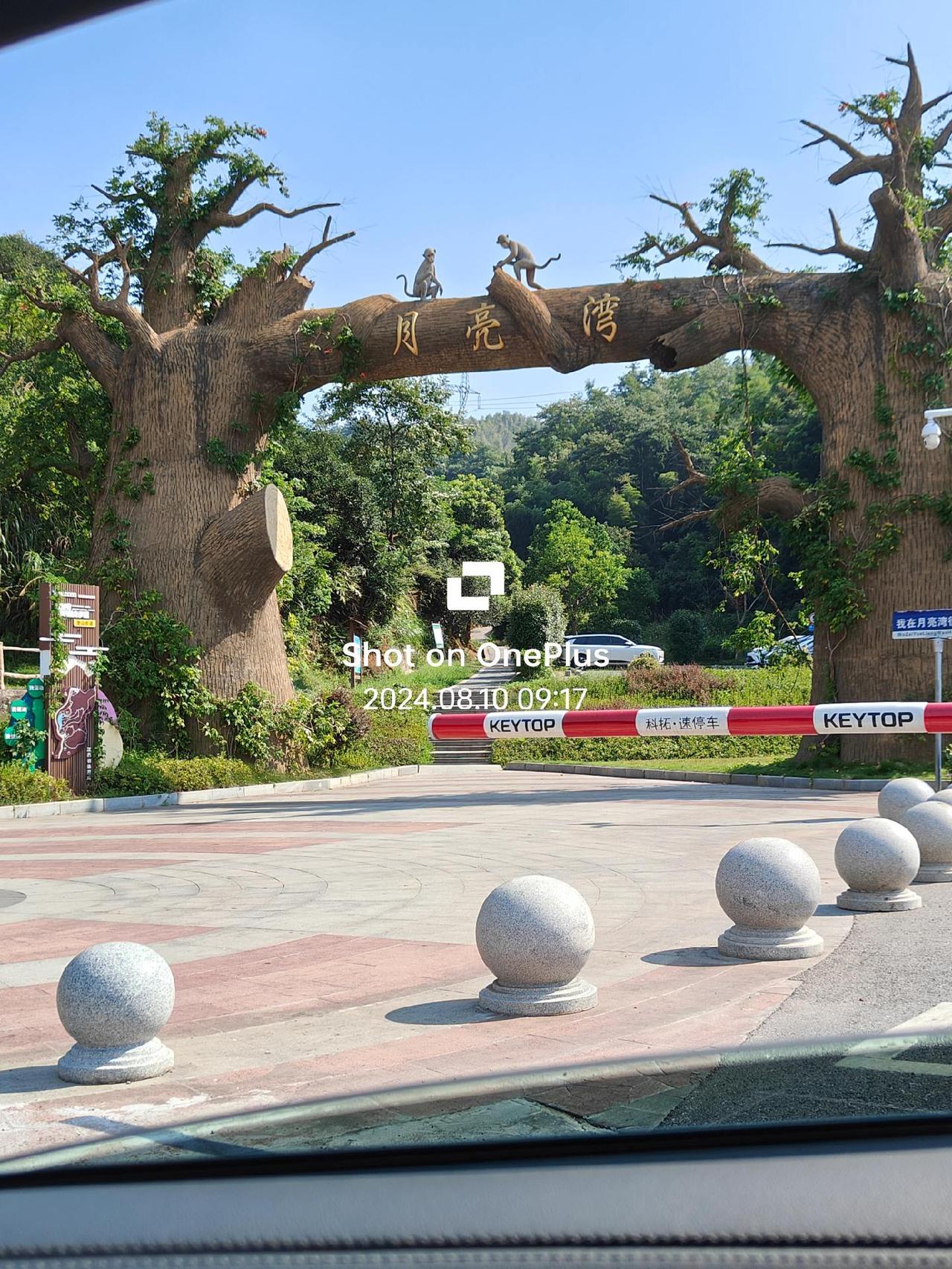 行摄江西(2024):走进南昌湾里区1