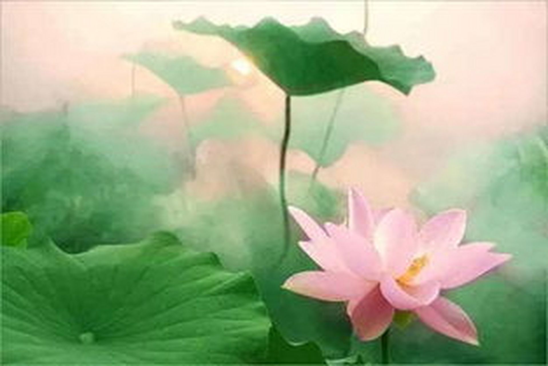 作者学院# #佛教# 三时系念辨析:三时系念,乃后人所著,冒中峰国师之