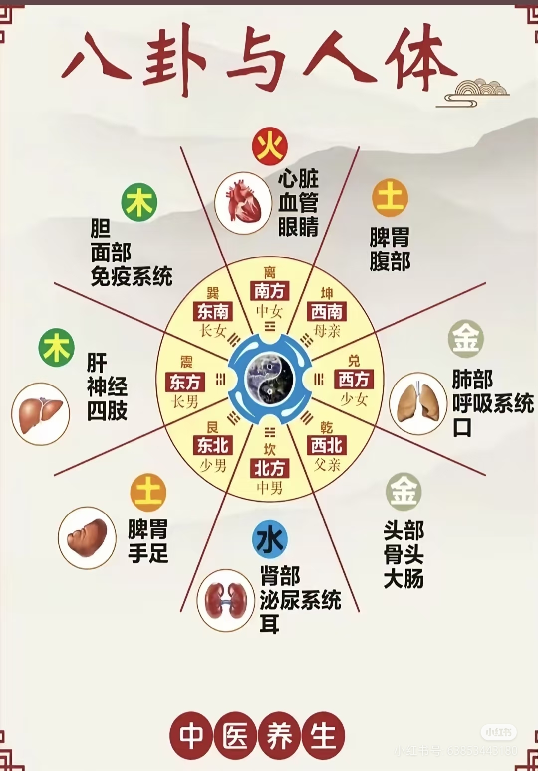 八卦对应人体脏腑与方位心属离南肝属震东肾属坎北脾胃居中揭示