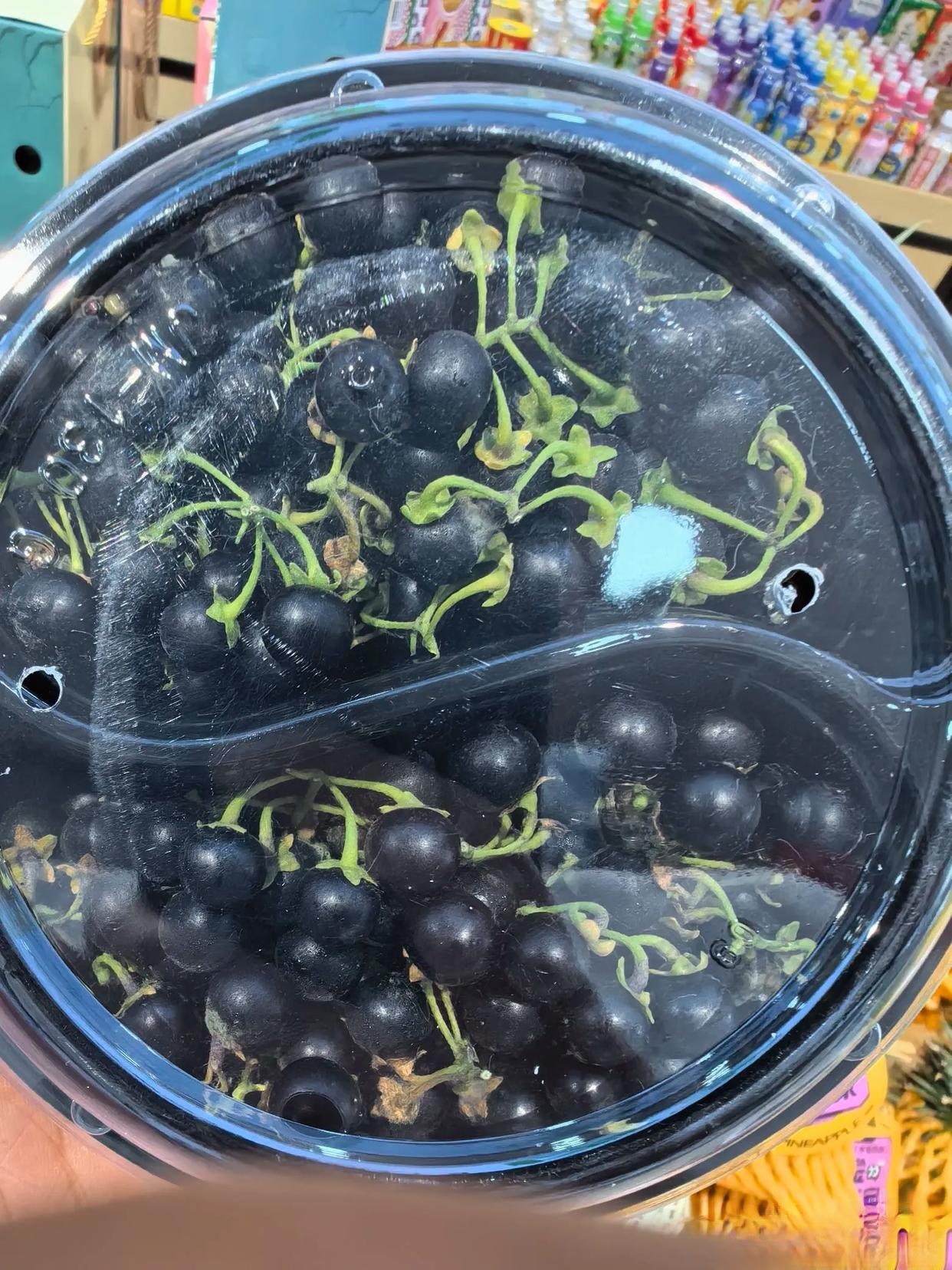 现在倒是很少见到了.