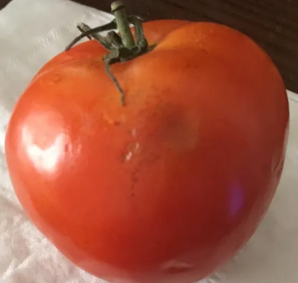 看这西红柿外表,似乎没什么问题,算是挺光鲜的.但是,心却烂了黑了