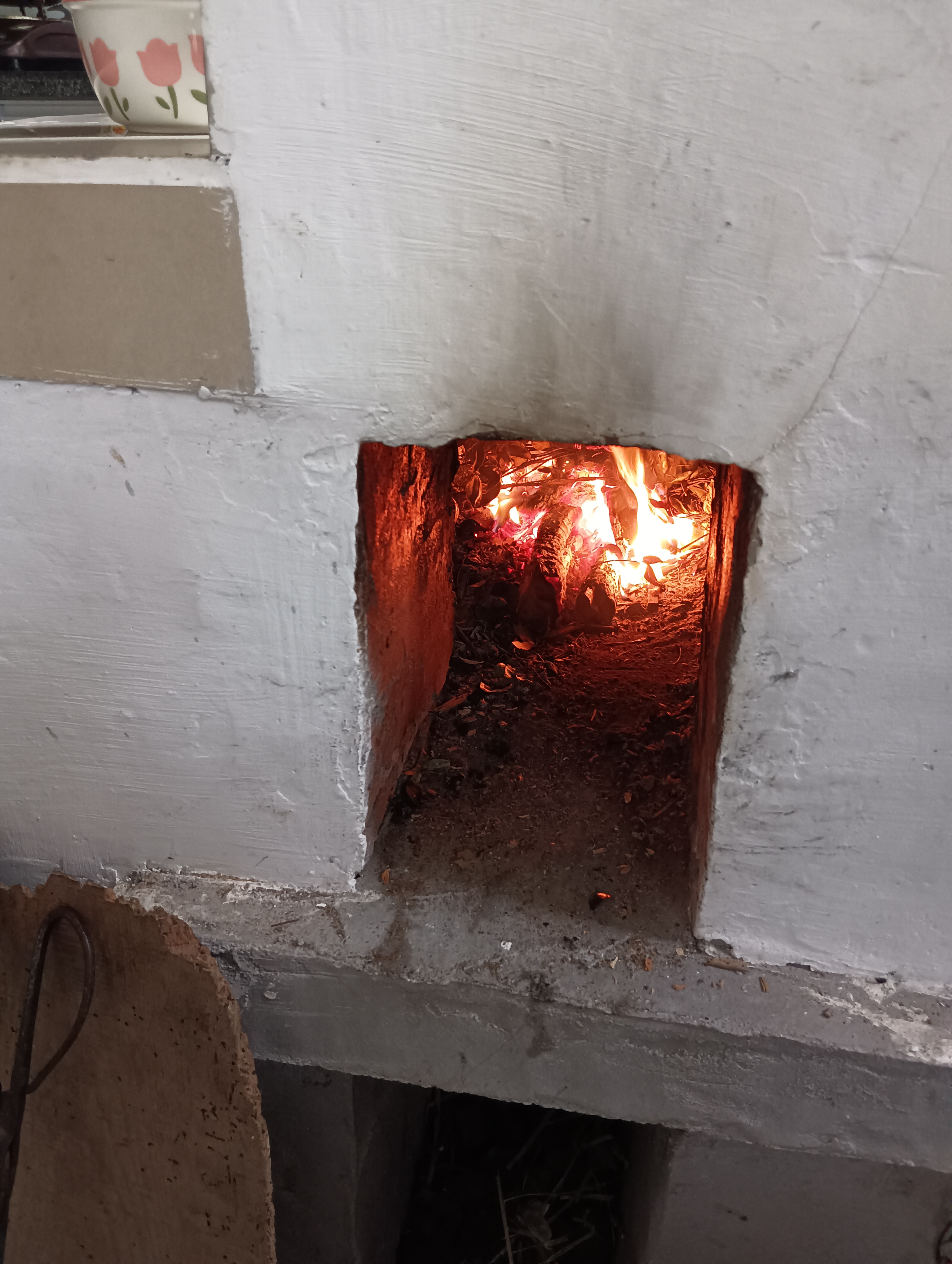 平时没事,父亲在家种点菜,蔬菜