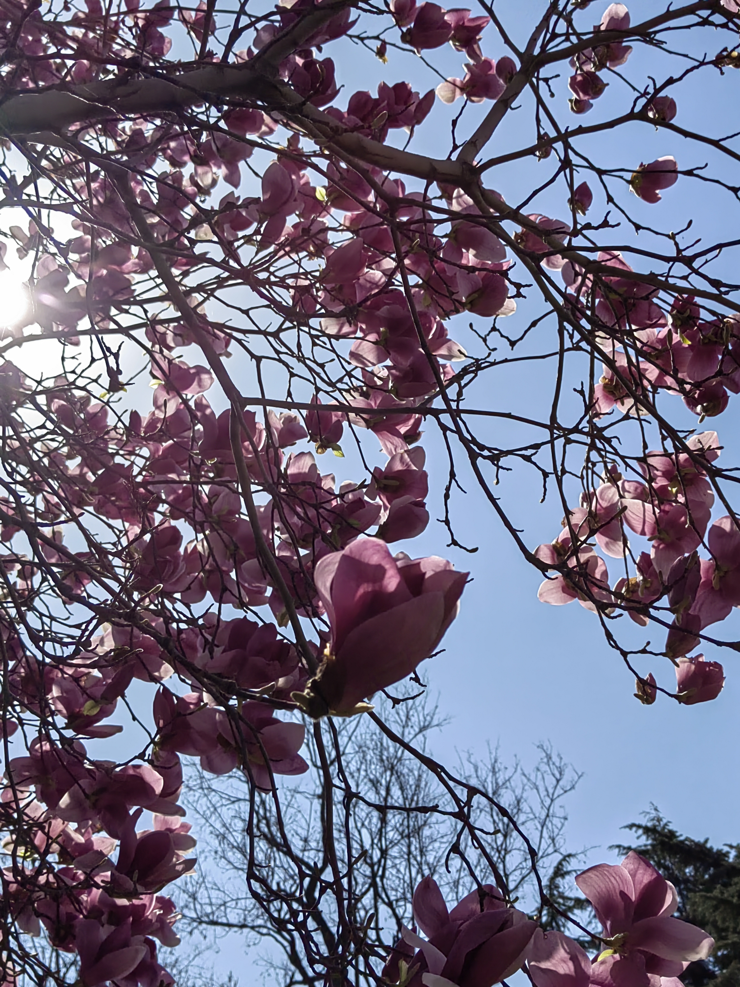 碧水蓝天踏青去,陶冶情操在陶然.