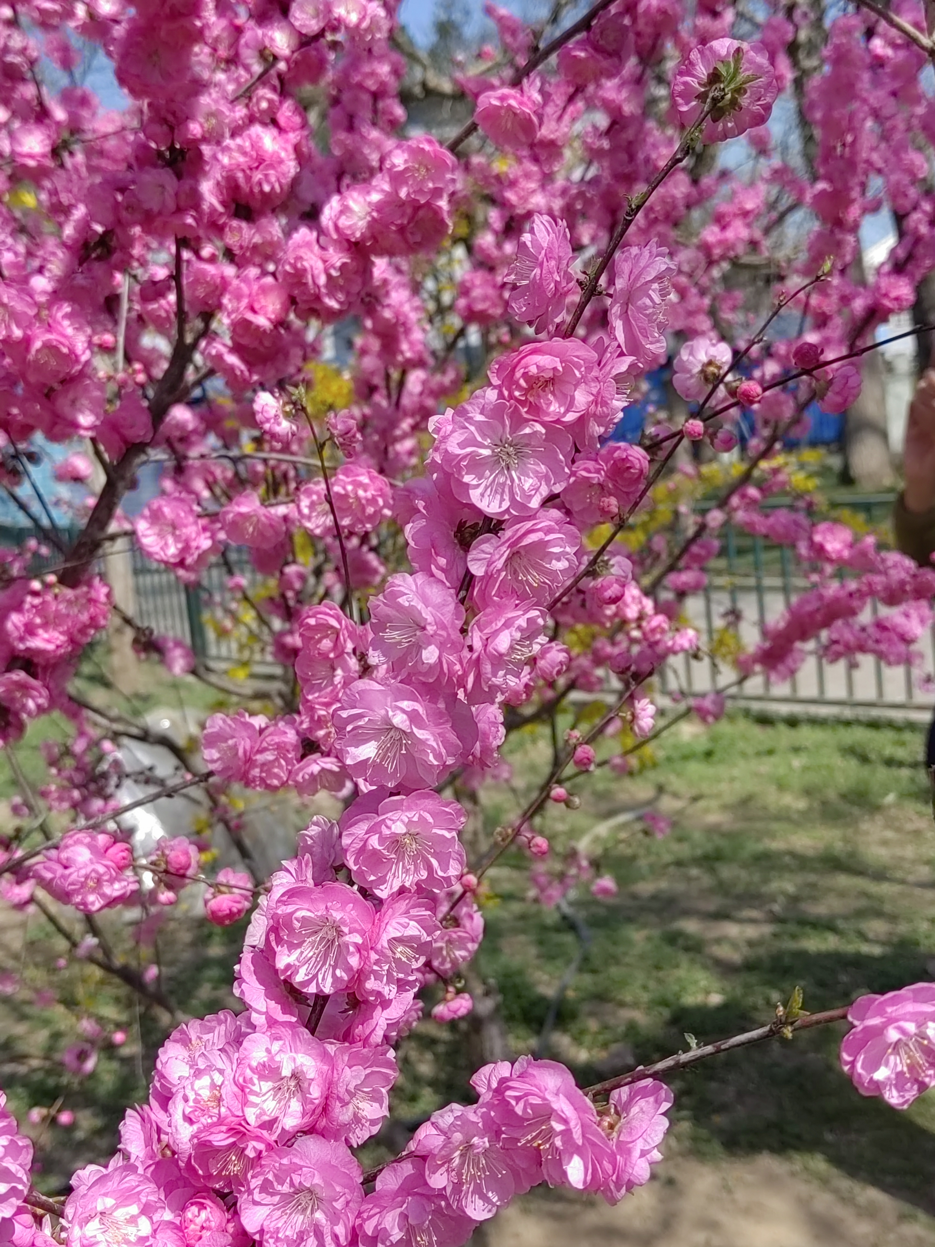 碧水蓝天踏青去,陶冶情操在陶然.