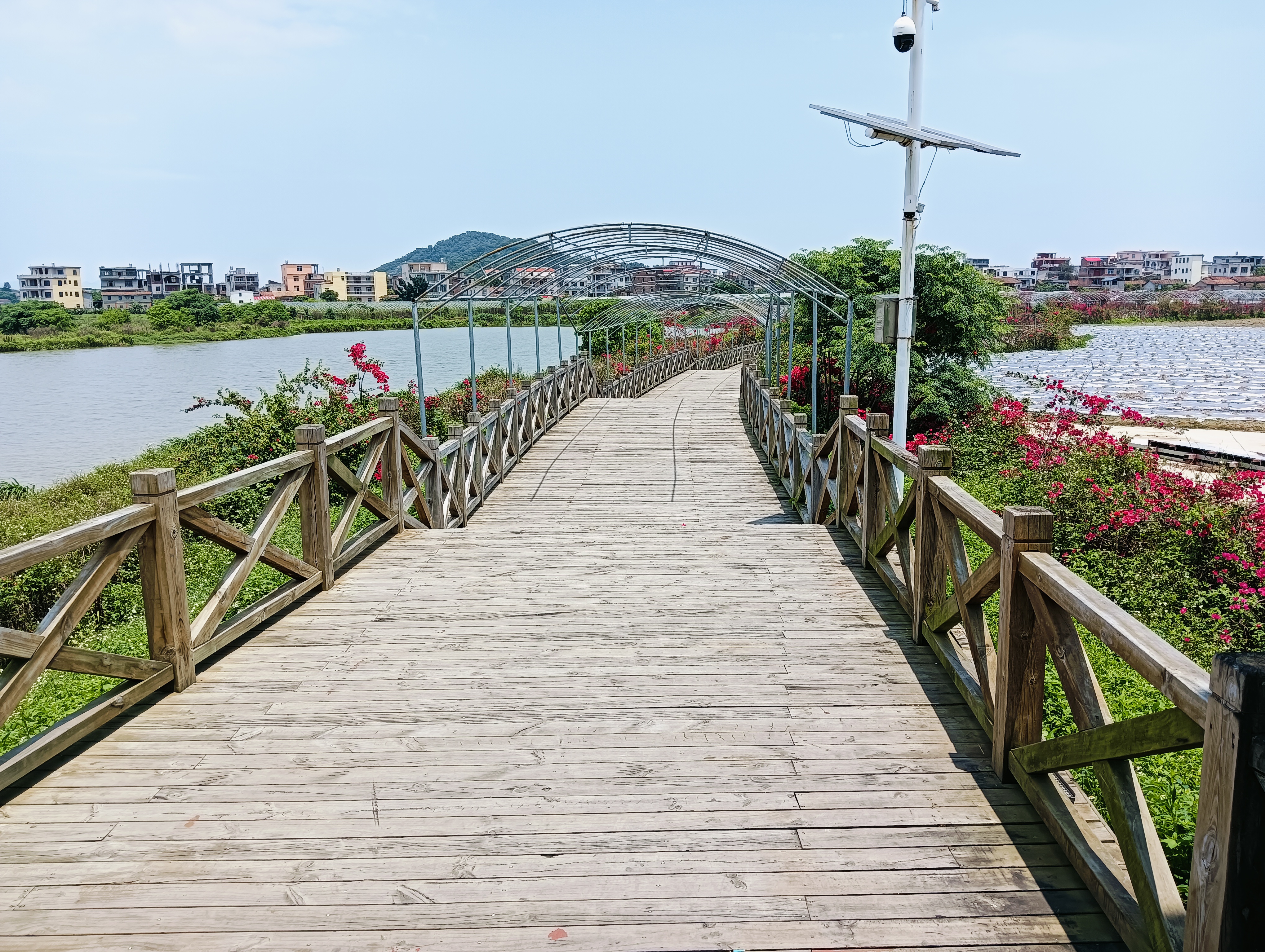 福建莆田秀屿区景点图片