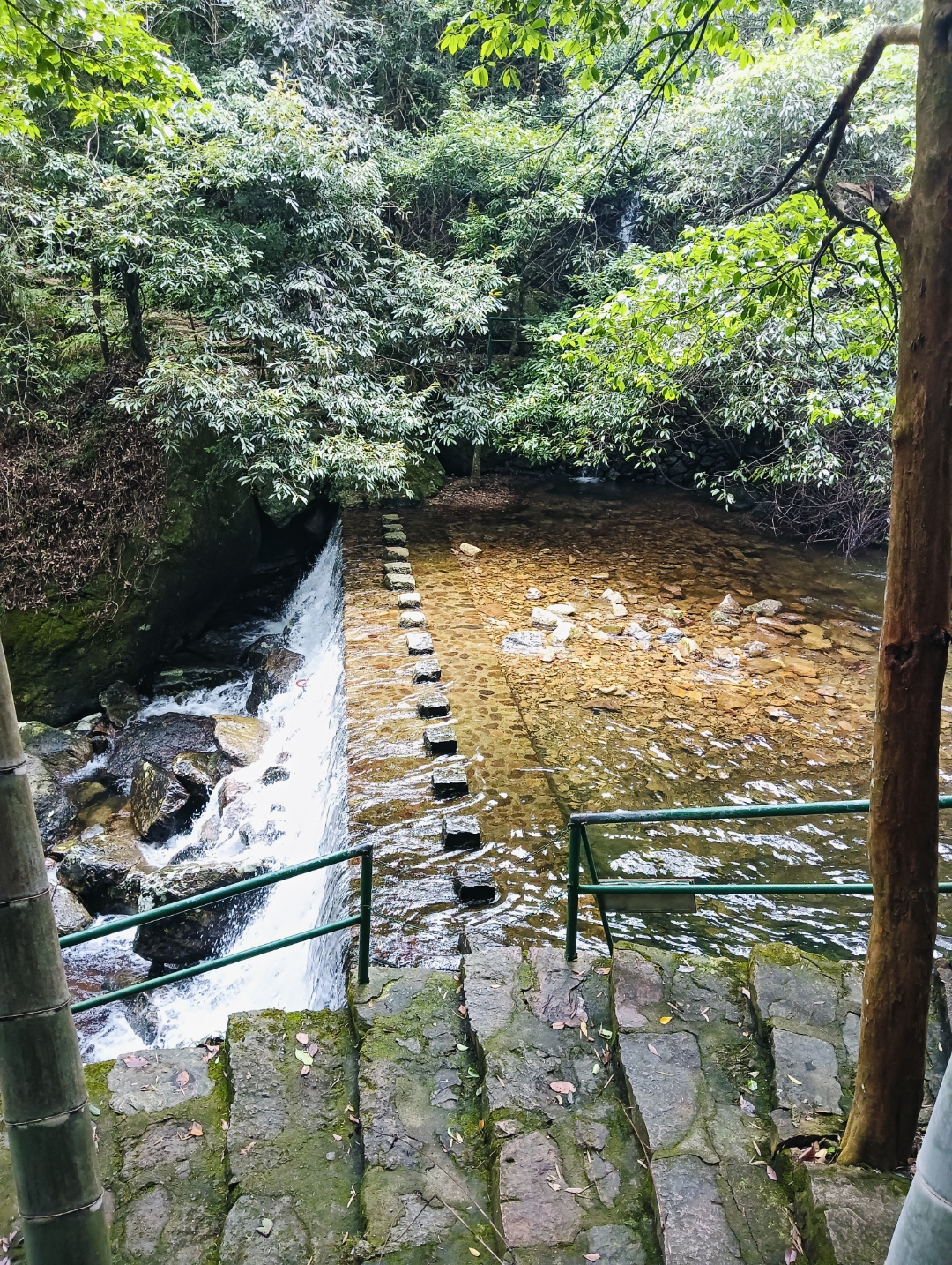 莆田市仙游县林天明图片