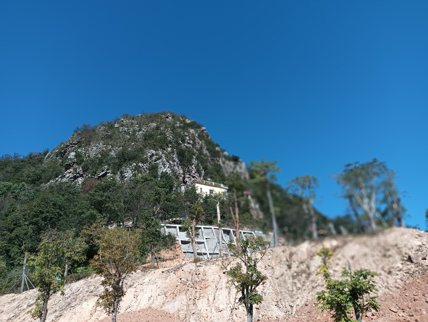 沿阶而上,每一处都是自然与现代交织的奇迹:山脚下,泉港区繁华跃然