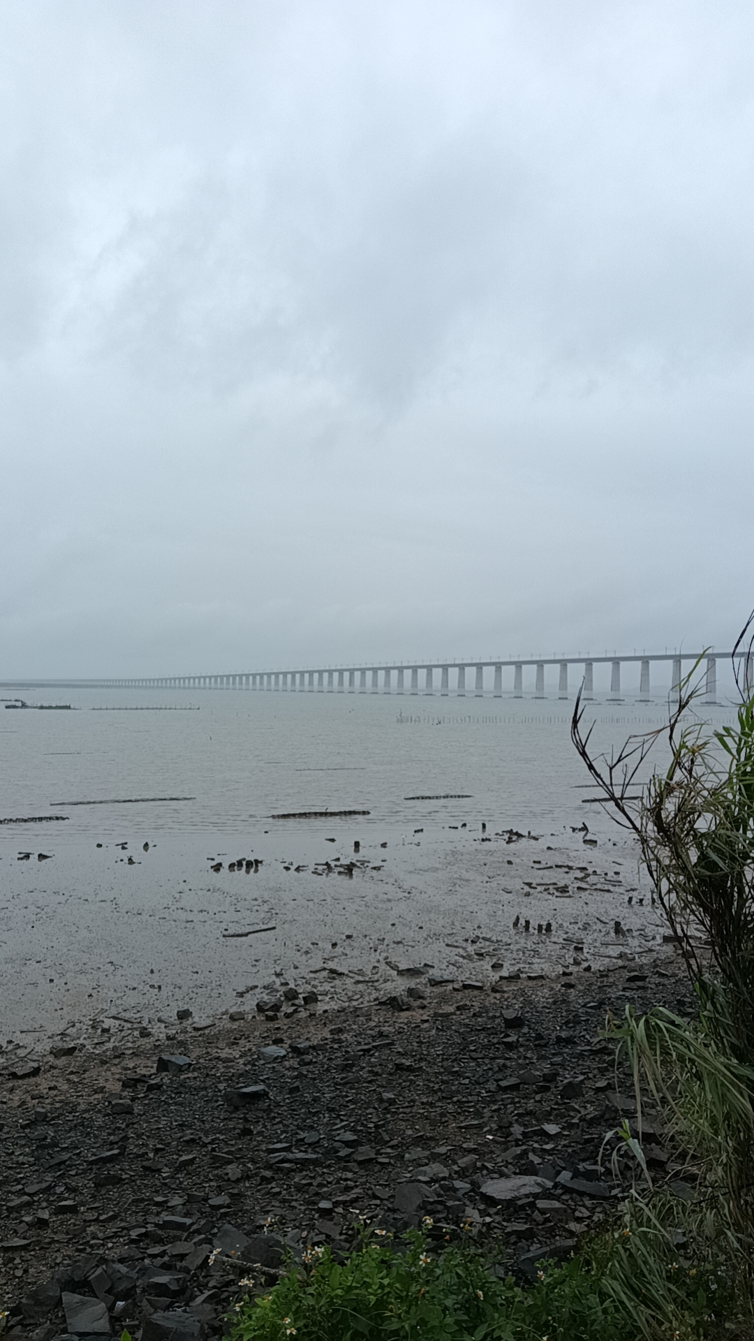 漫步在仙游县枫亭镇的朱寨海边,我沉醉于这如诗如画的湄洲湾美景.