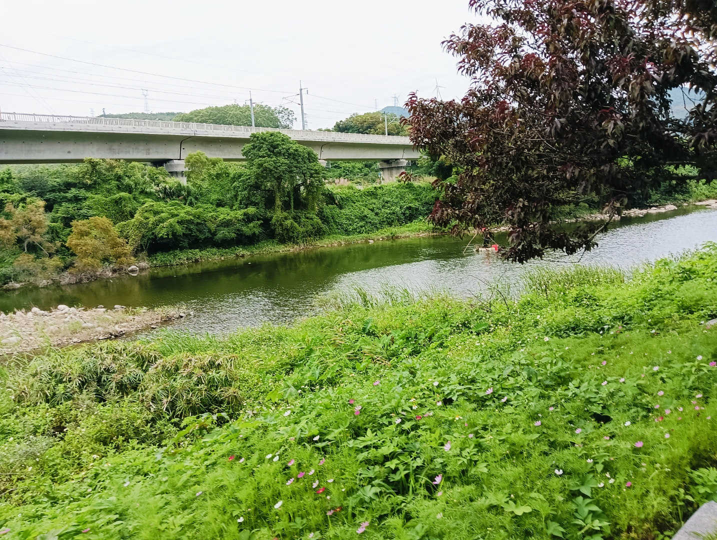 莆田市涵江区江口镇东大村蒜溪生态公园,景色优美,吸引众多游客.