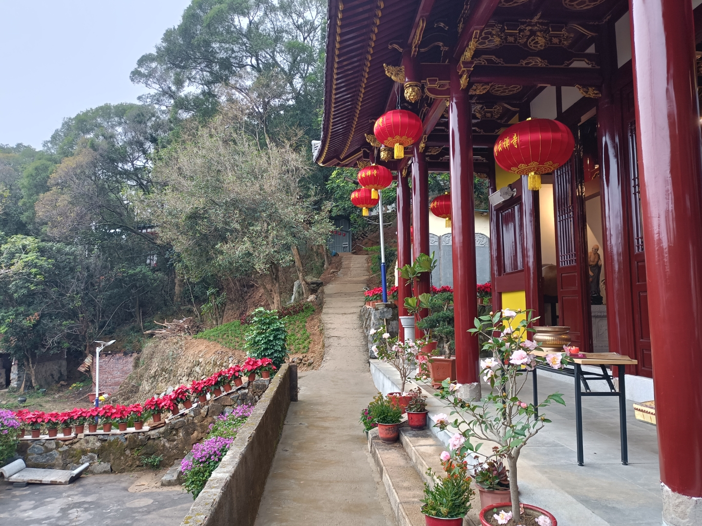 莆田市西天尾镇渭阳村紫云寺,位于西天尾镇渭阳村紫宵风景区内,始建于