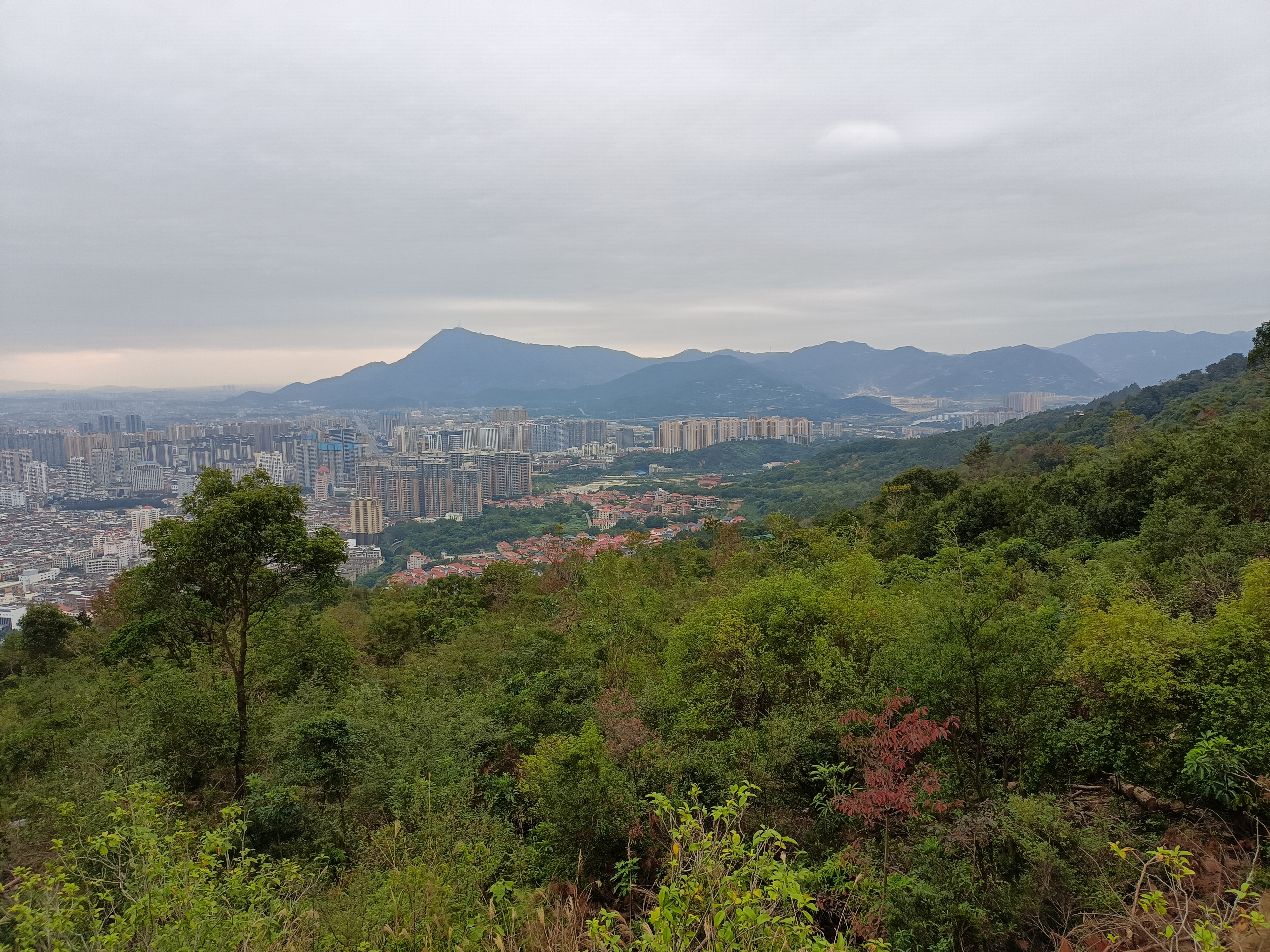 莆田市凤凰山景区爬山游步道,风景区优美绿树成荫,可以俯瞰山下莆田