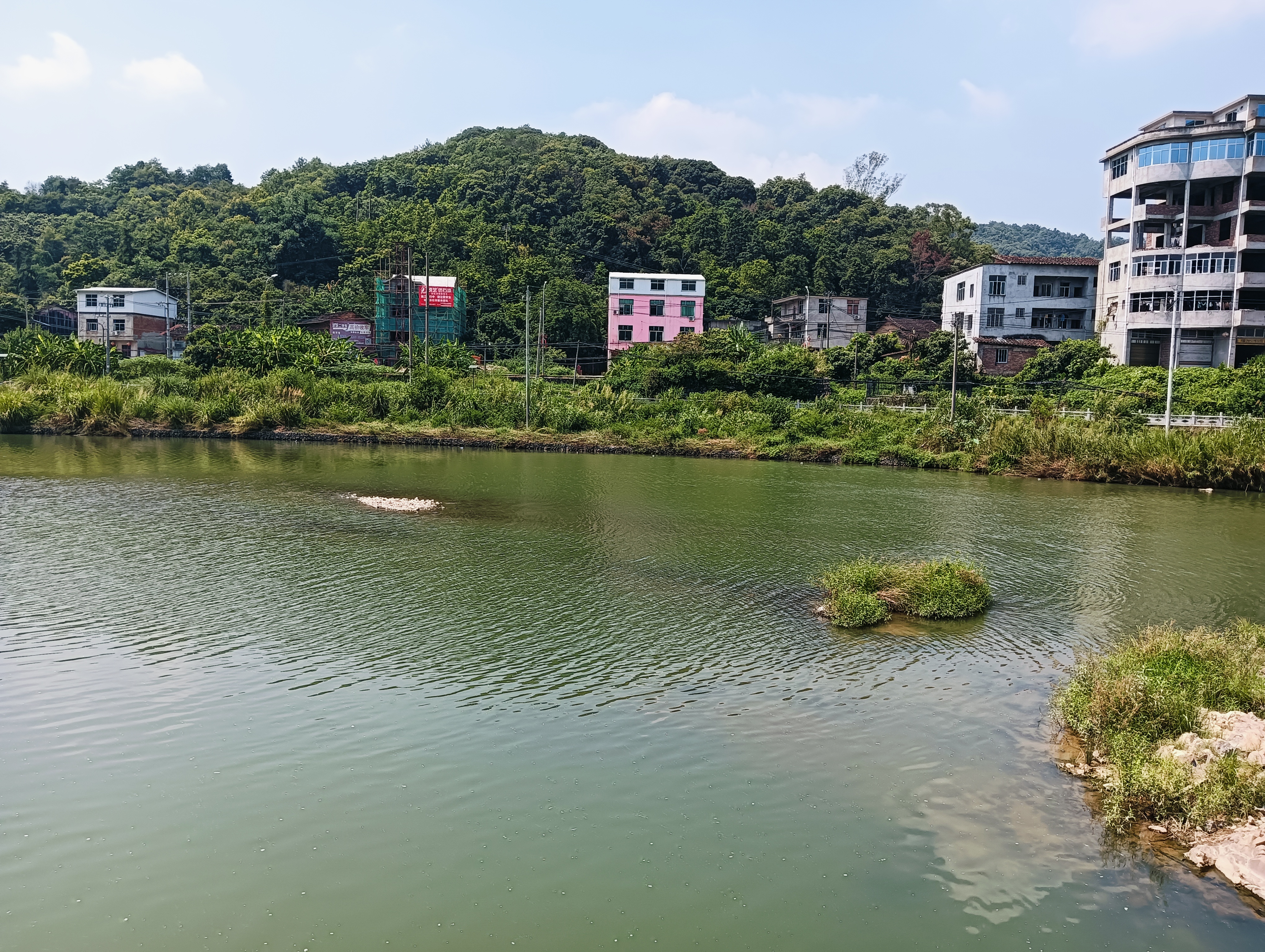 乐清市白鹭屿村图片