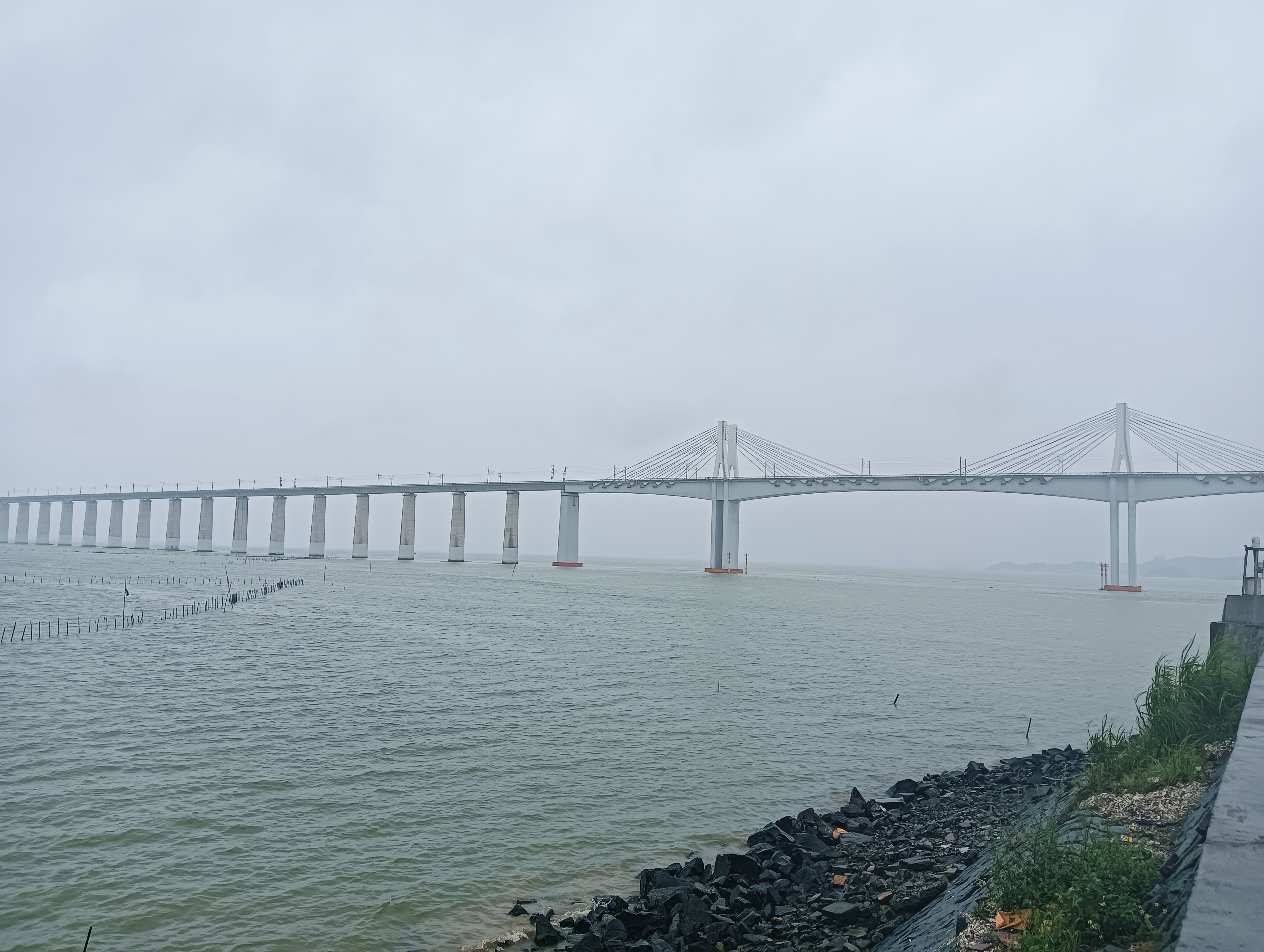 仙游县的枫亭镇朱寨海滩,是这片土地上难得的海洋瑰宝.