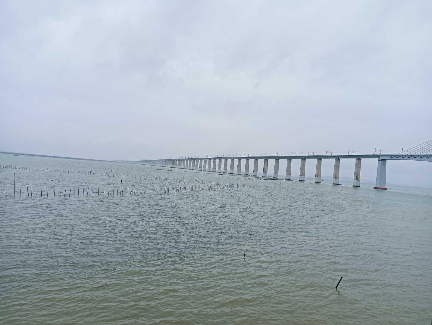 在仙游县枫亭镇的朱寨海滩边,一座宏伟的福厦高铁跨海大桥悄然矗立,它