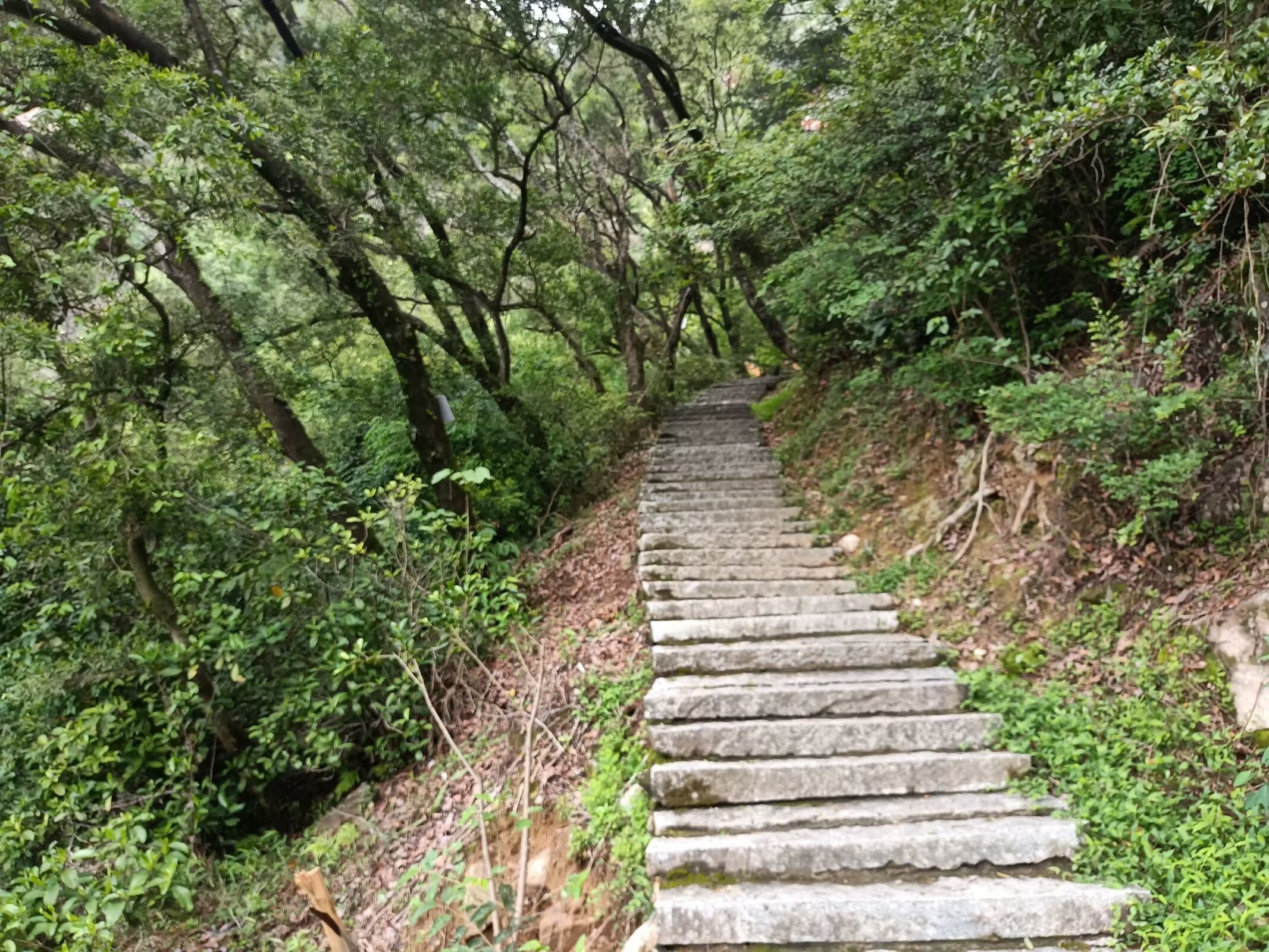 厦门天马山灵异事件图片