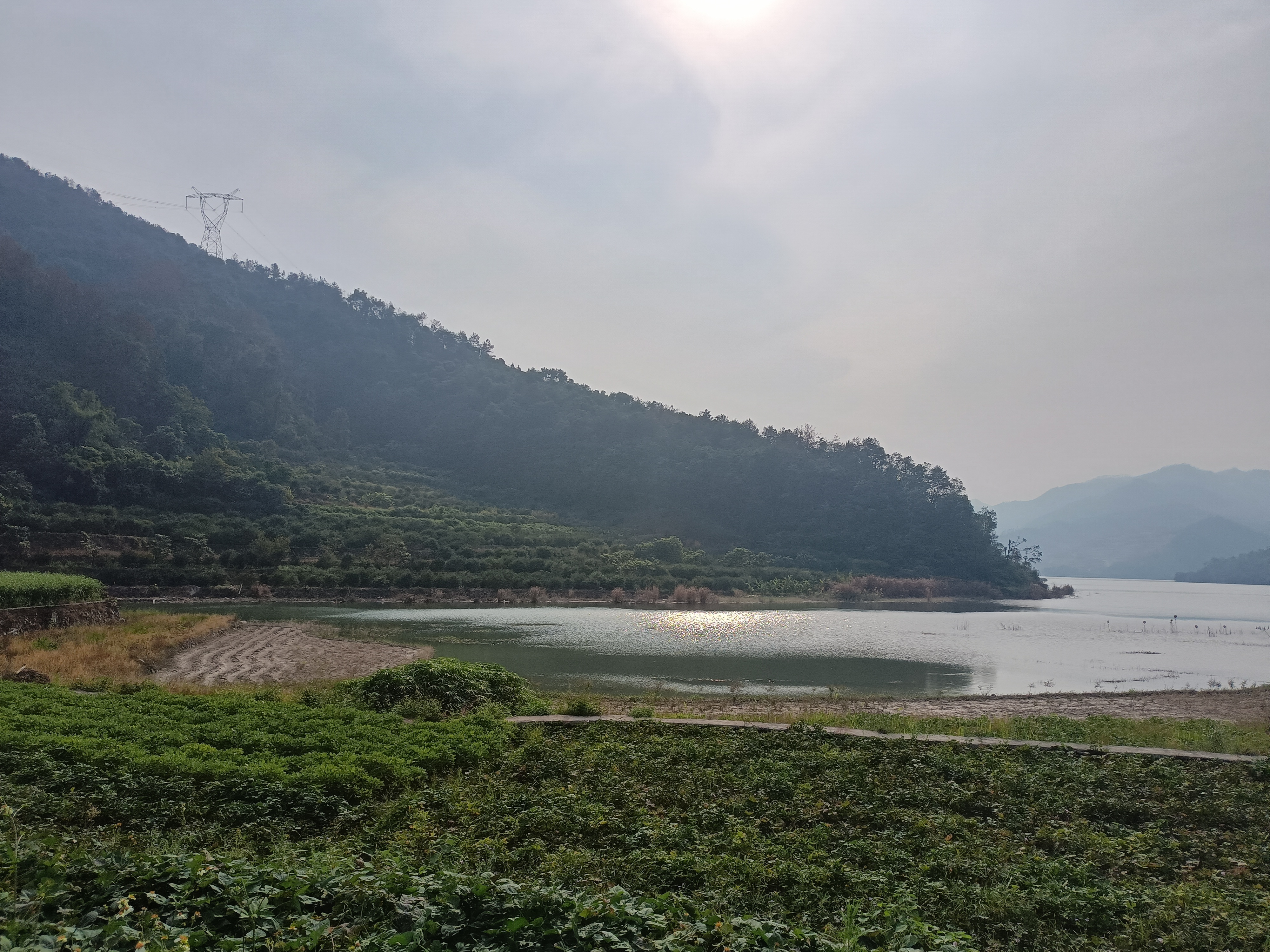 深秋的东溪水库风有点微凉,有些树叶已经发黄#百万创作者计划#  98