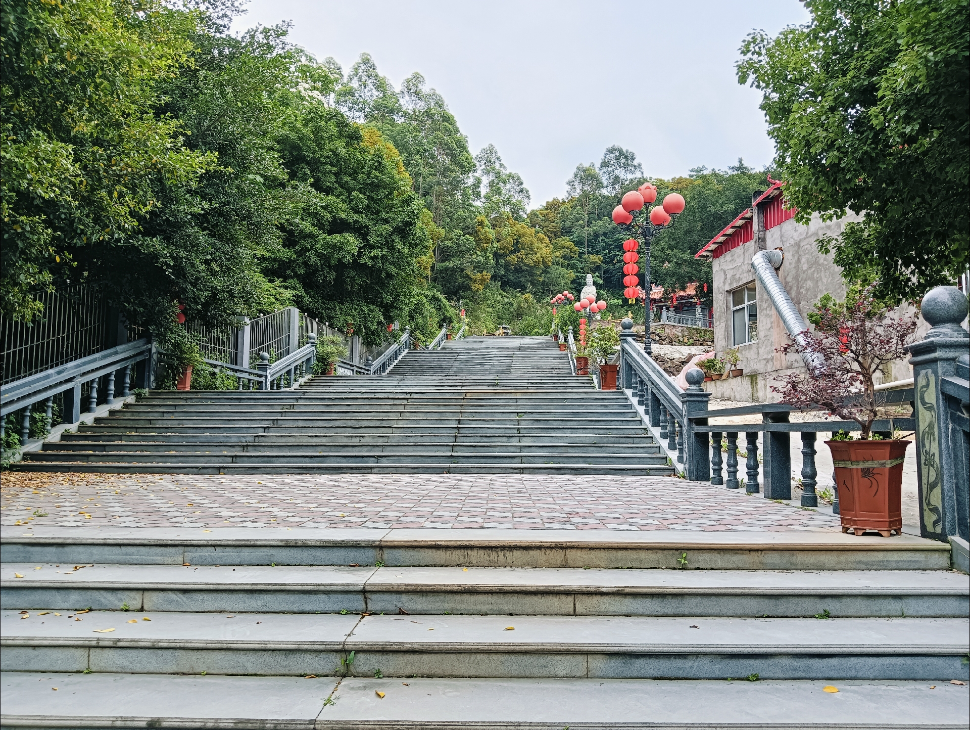 晚春时分,我漫步在莆田市荔城区新度镇的奇秀岩景区,恍若踏入一幅生机