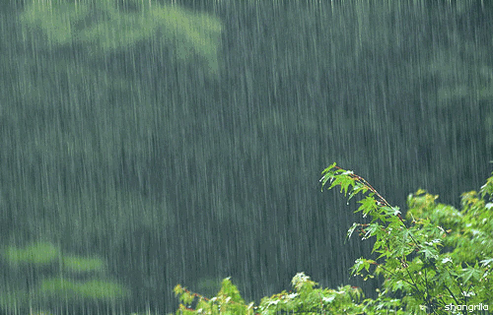 江南雨图片唯美大全图片