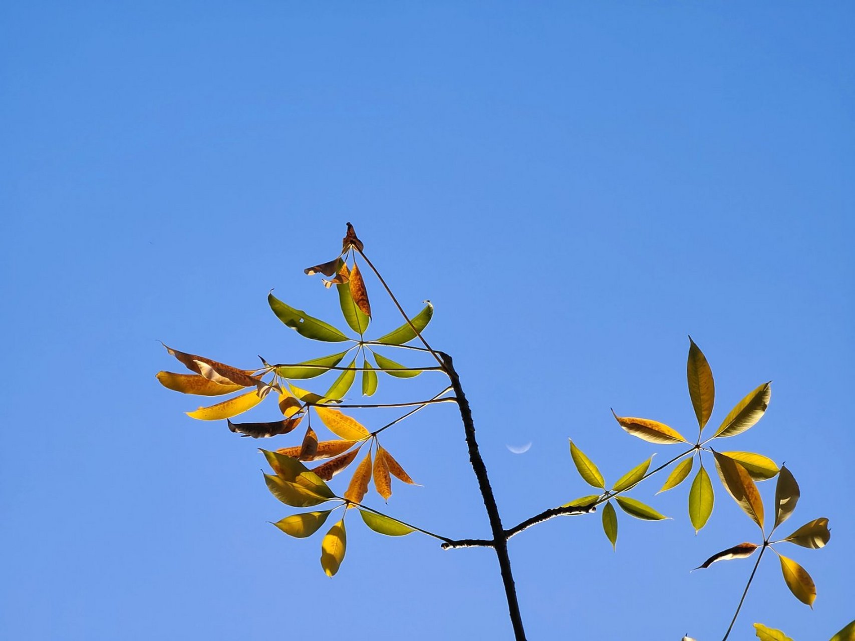安顿好身体,灵魂就会归位