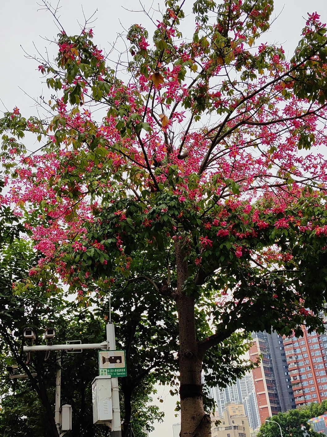 宏观和微观世界