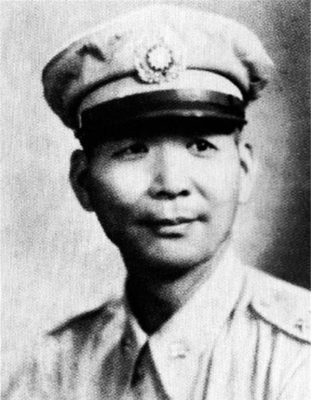 在双堆集的险境中,胡琏将军,这位曾威震军中的传奇人物,突然现身.