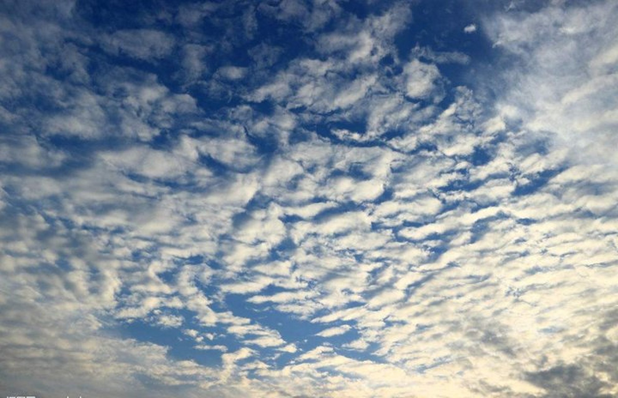 我真的能笑死,地震云存不存在我不知道,但图片上这两种,对于经常观察