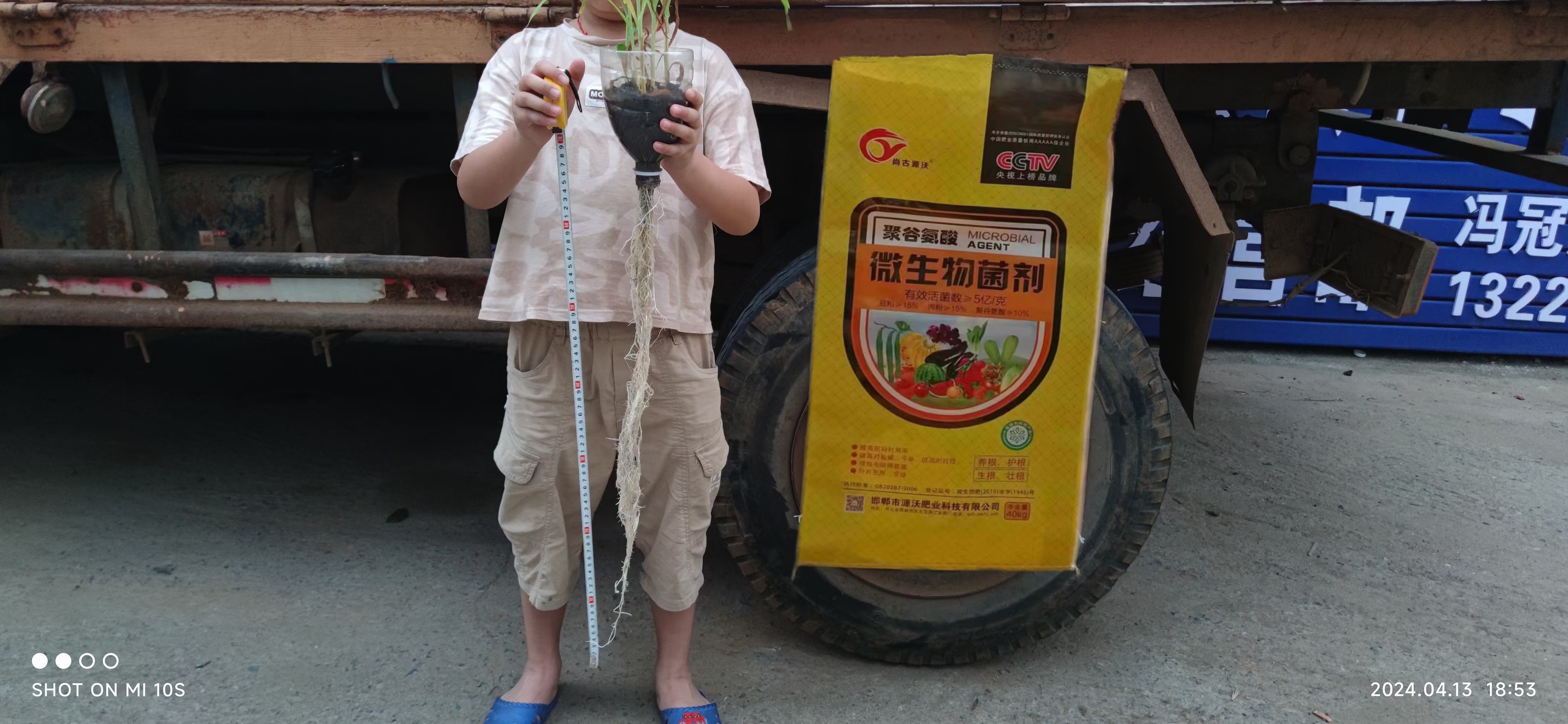 微生物菌剂