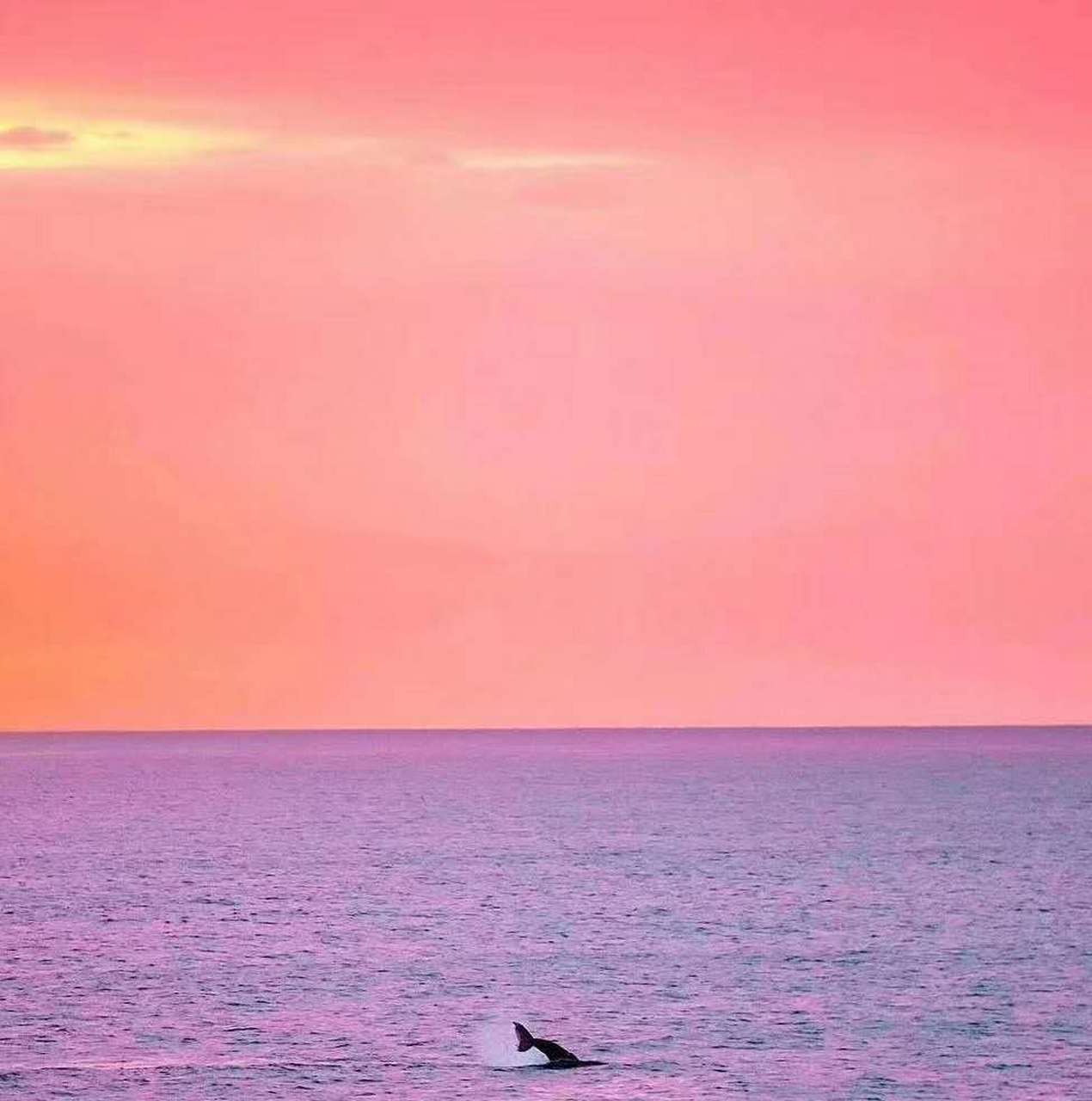 #最美古诗词#  生查子  五代·牛希济  新月曲如眉,未有团圞意.  红豆