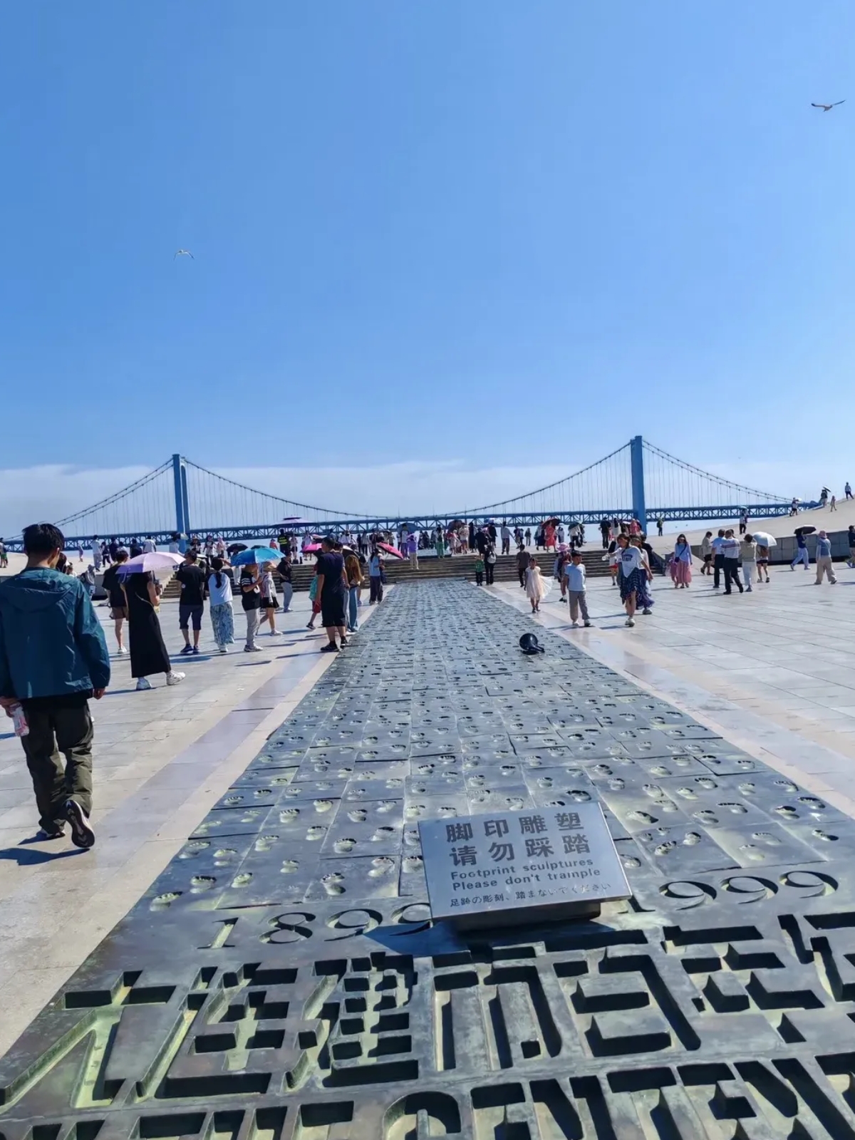站在星海广场往远处看那海水蓝得跟加了滤镜似的清得能看见水底的
