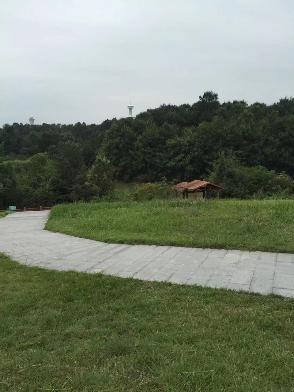 最美周边游# #中国鳄鱼湖# 宣城中国鳄鱼湖,春夏季节带着小孩一起