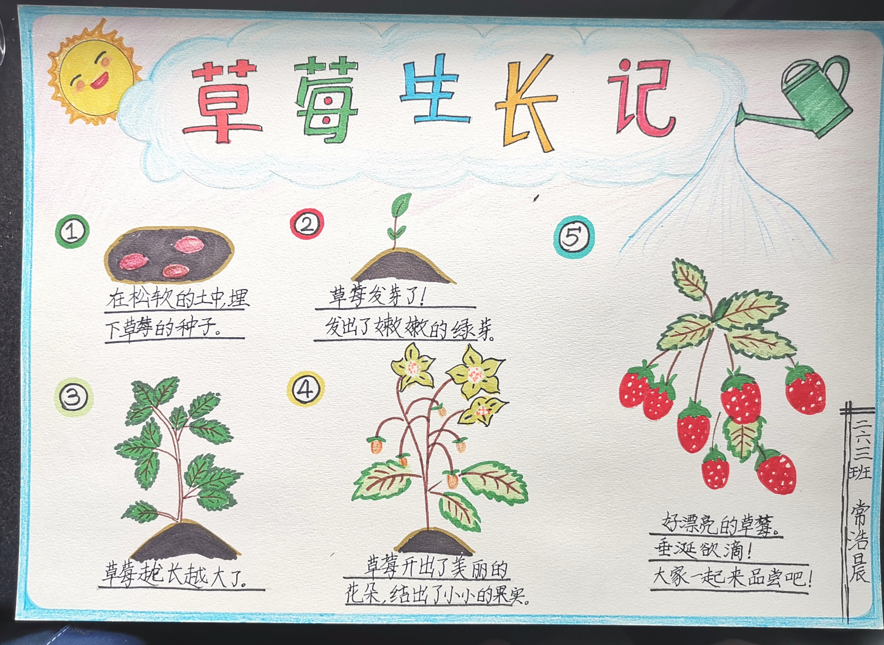 植物(草莓)生长记!小学四年级科学作业.