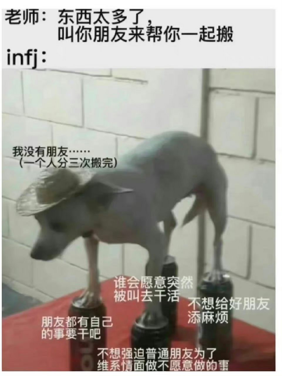 本infj的内心表情[二哈] 676767#新手帮扶计划