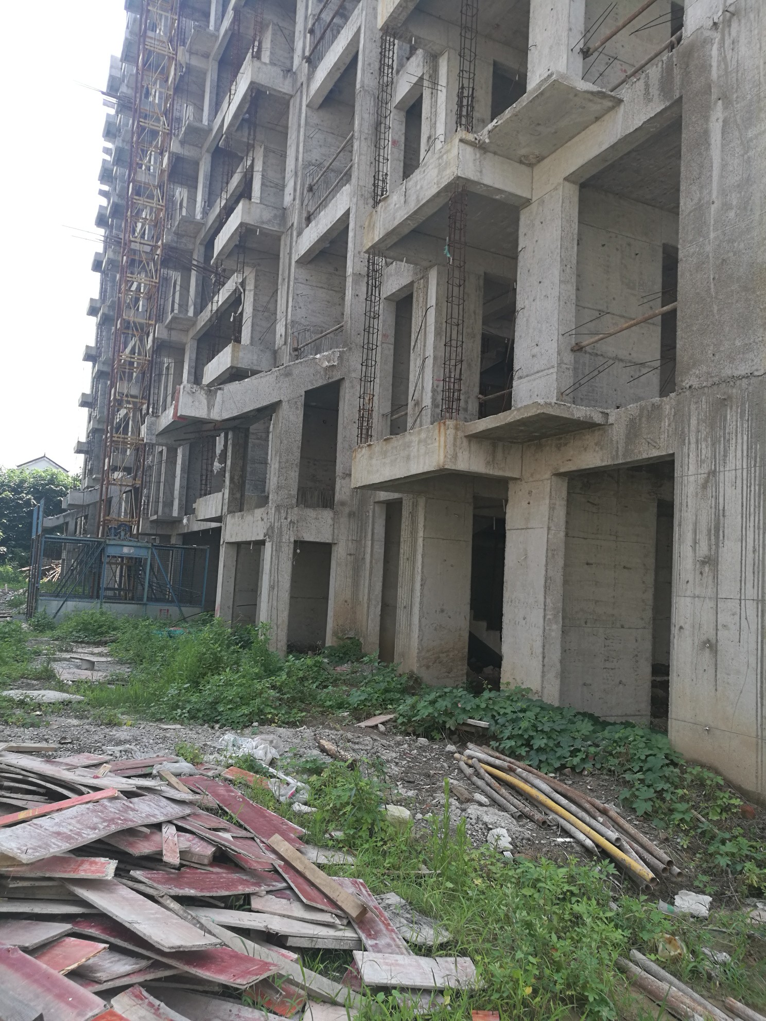 热爱生活的阿喆的动态