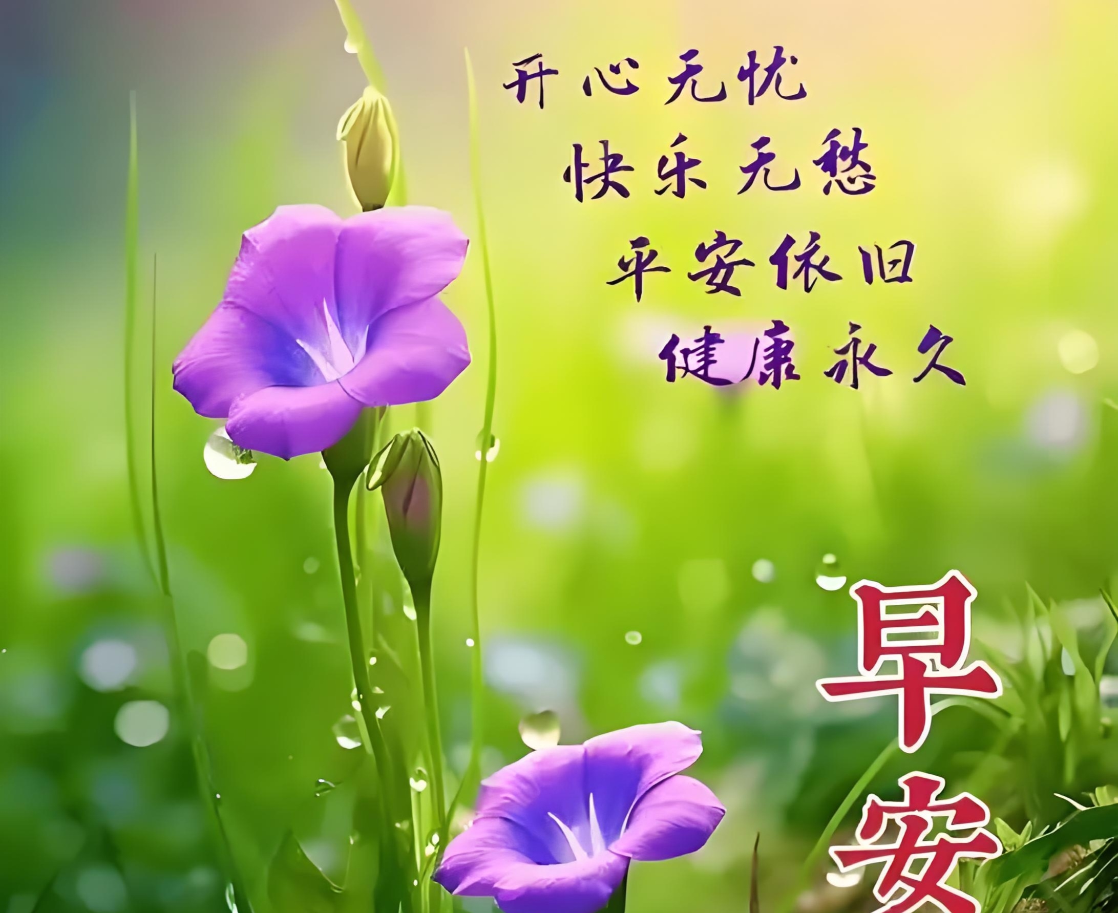 早安!愿你开心快乐,平安健康常伴左右