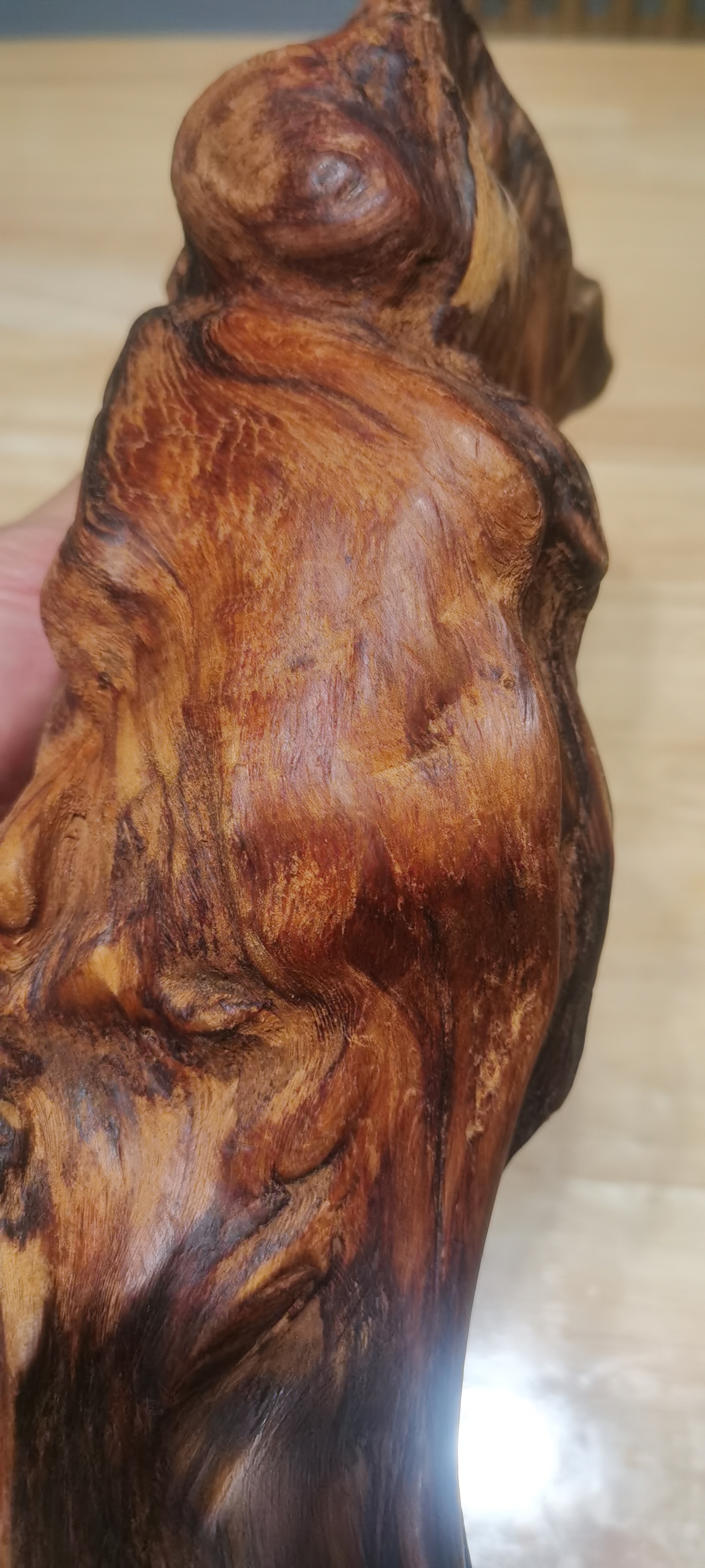 第一课 土沉香木的形成:    1.