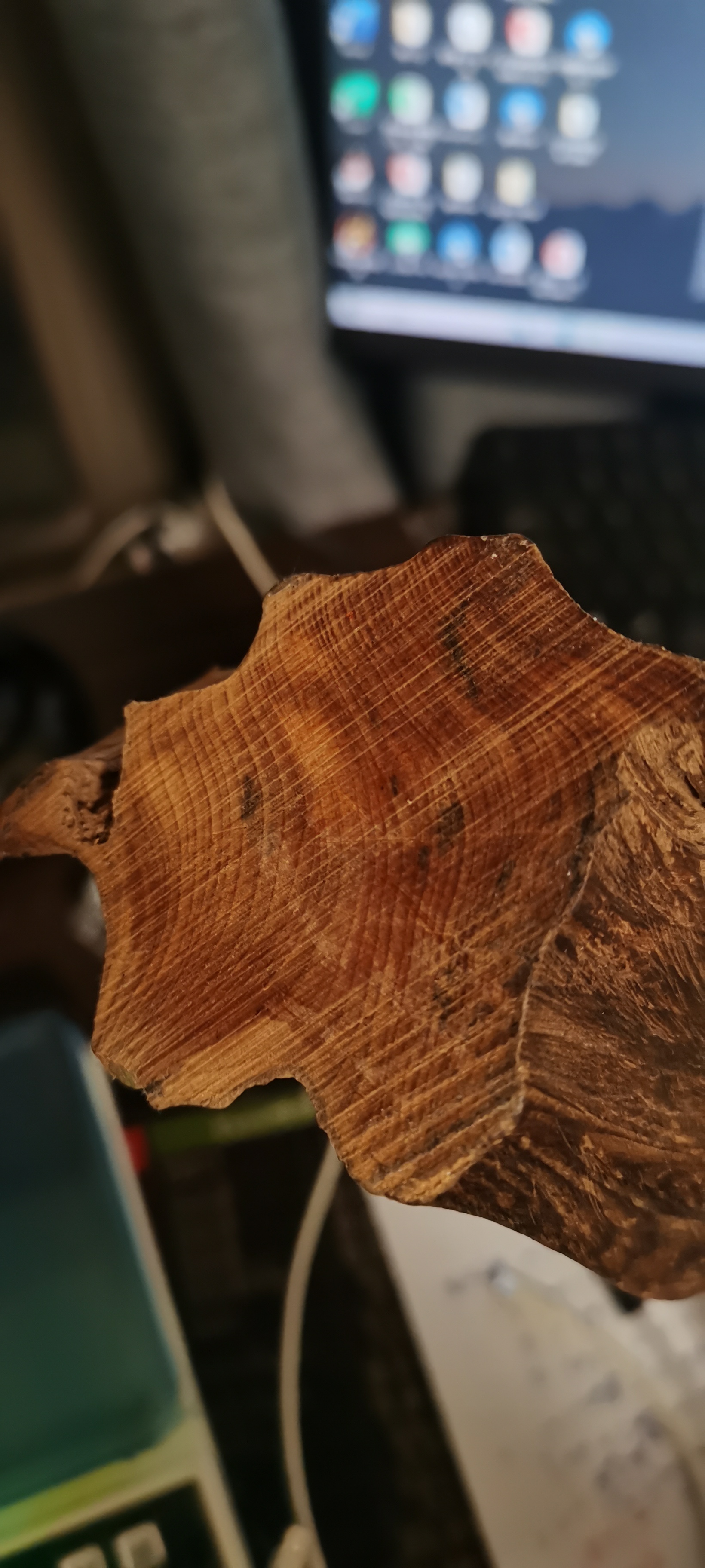 第七课:土沉香的特点:       土沉香:别名柏科沉香,千年土沉香,广西