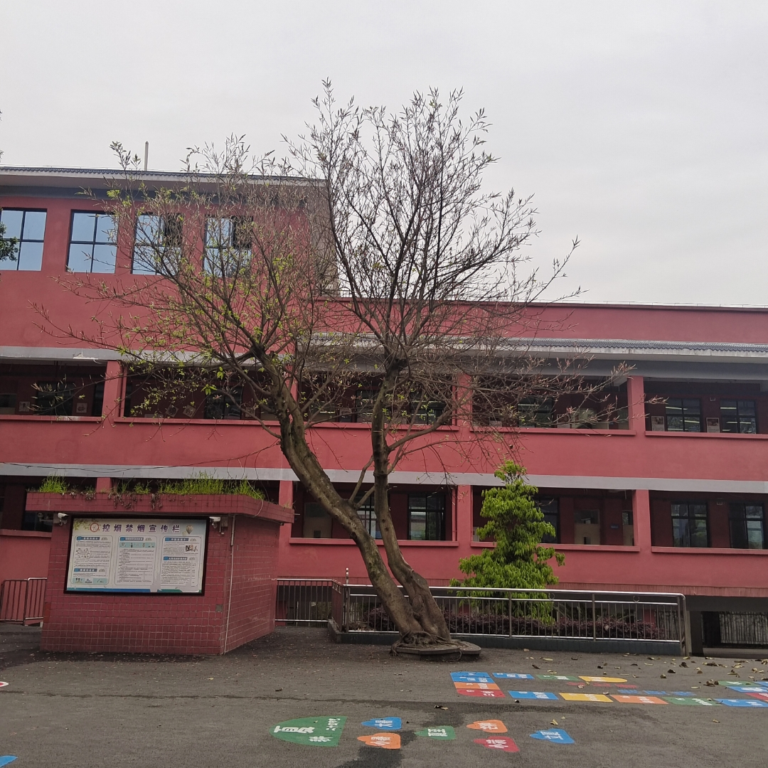 叶儿飞飞 春天来了,本该是万物复苏,生机勃勃的景象