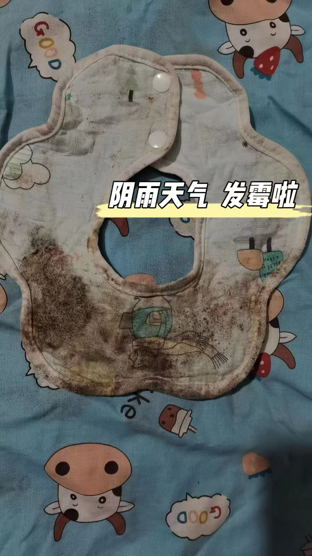 为什么发霉