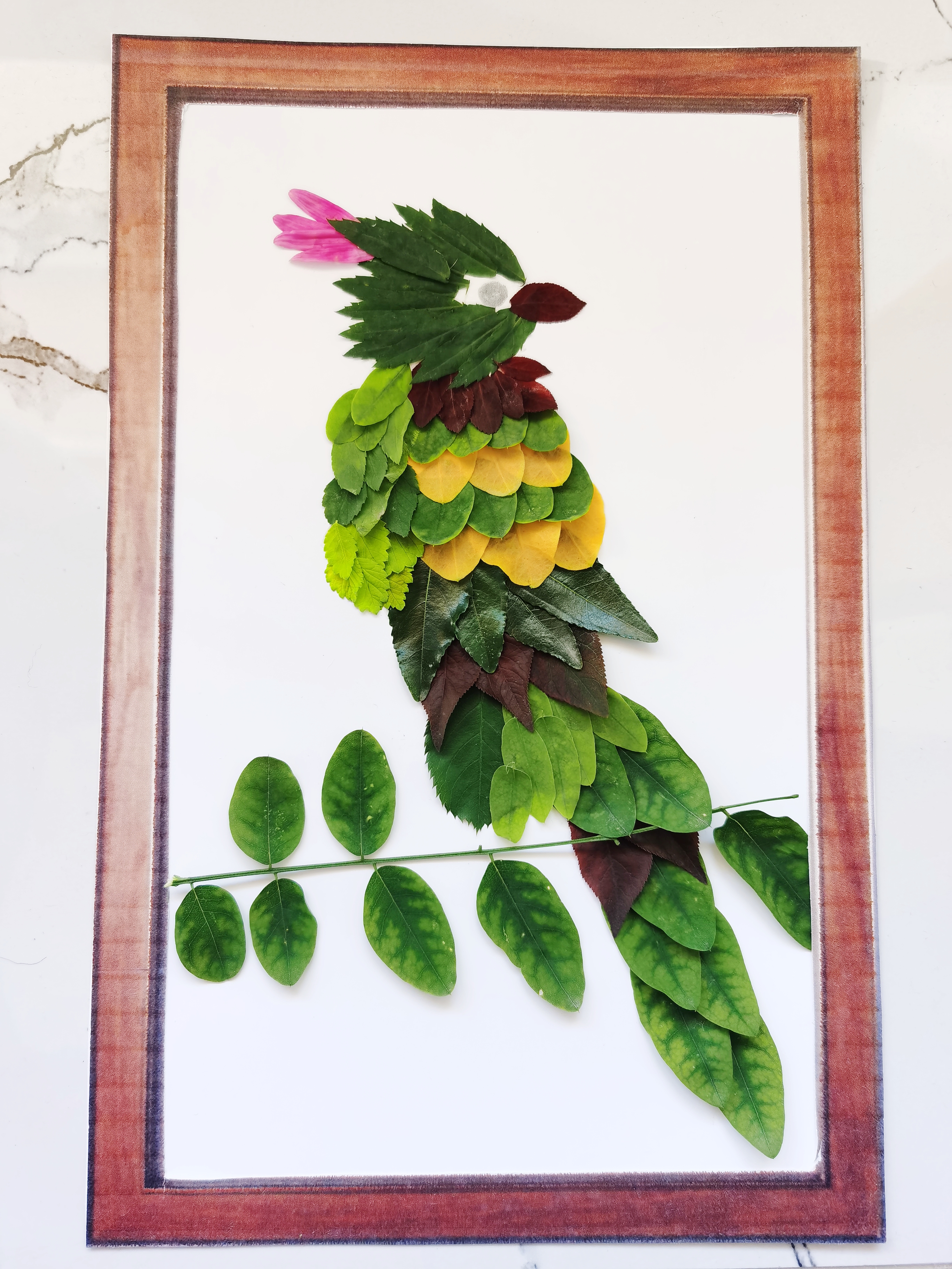 鹦鹉树叶贴画,鸟树叶贴画