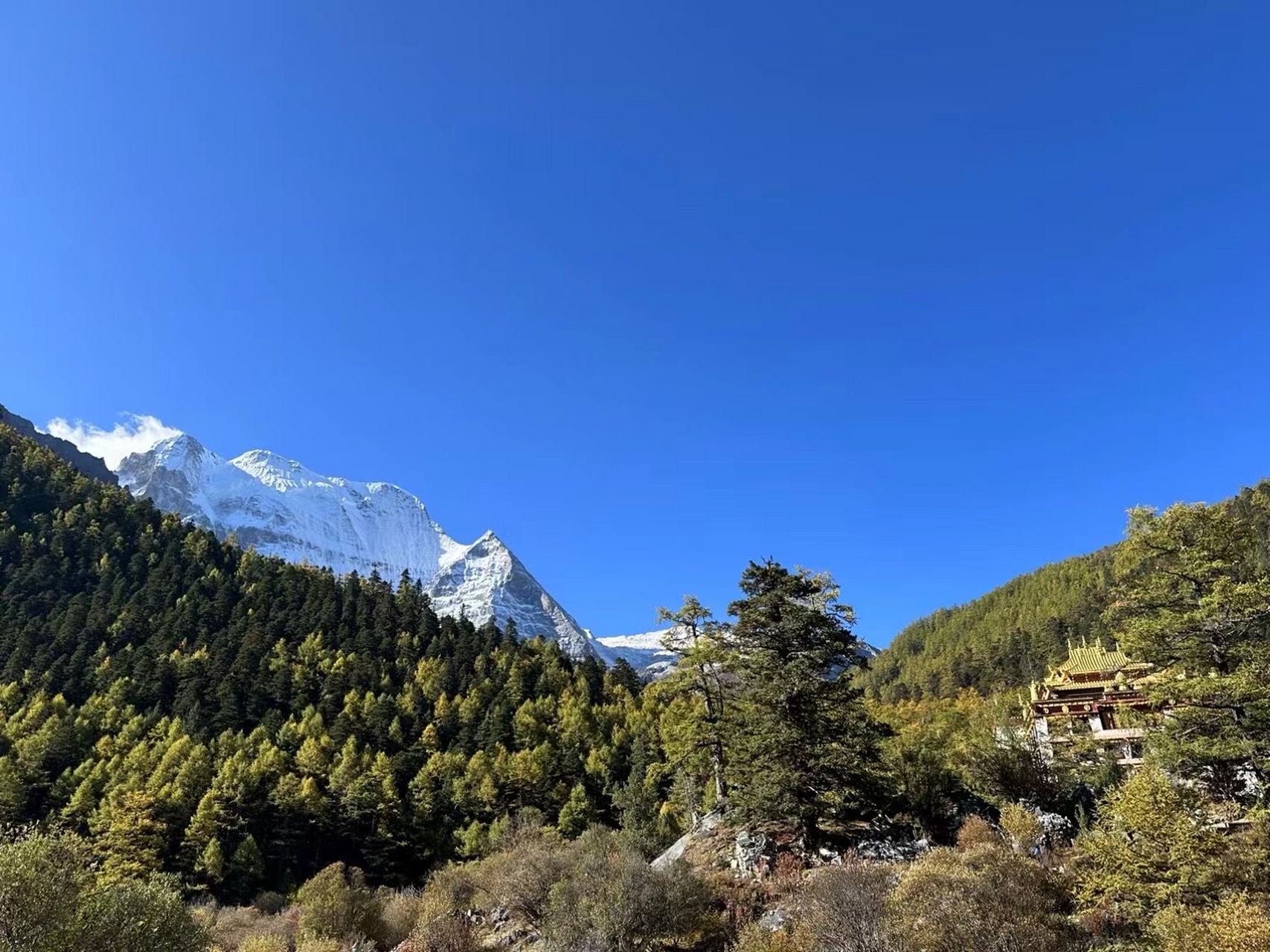 法定货币名词解释,法定货币名词解释是什么