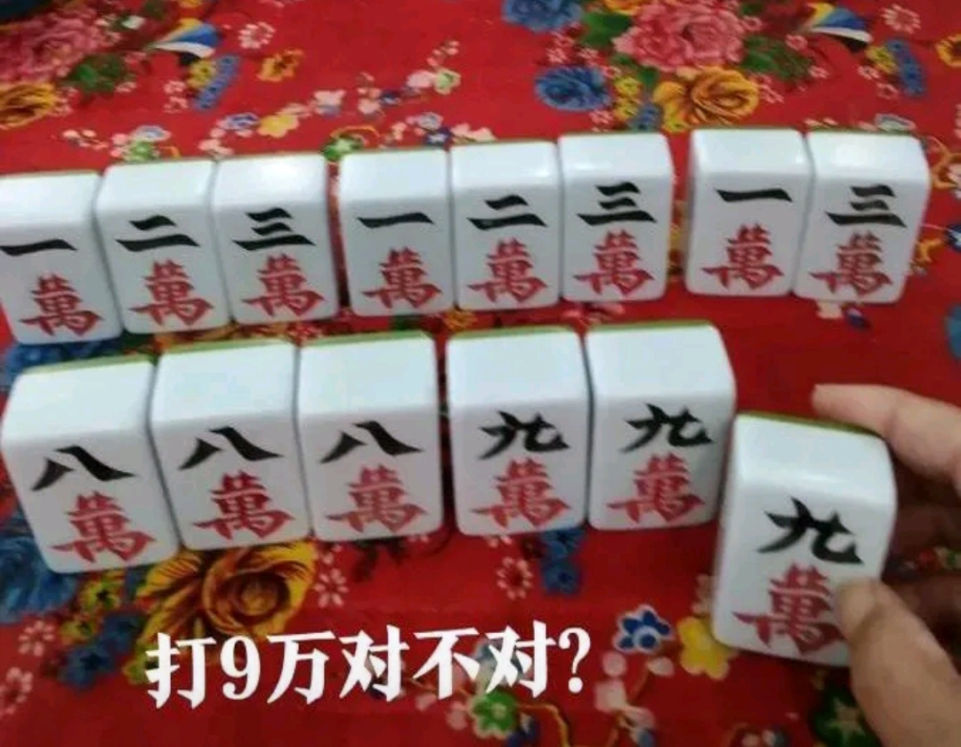 昨晚老公打麻将,摸到九万竟然不胡!