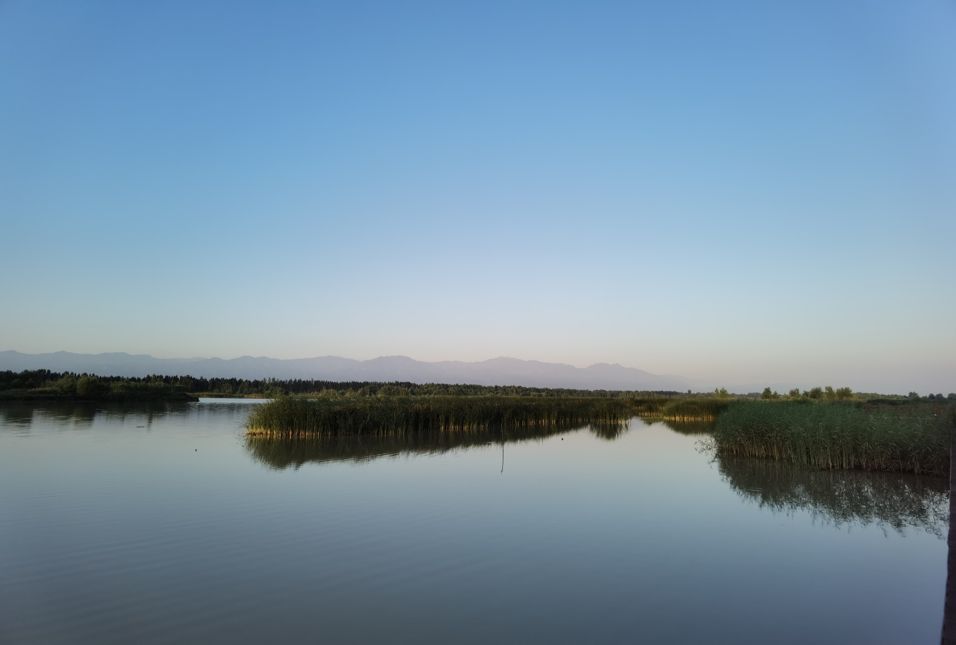 杨凌渭河湿地公园 休闲健身好地方
